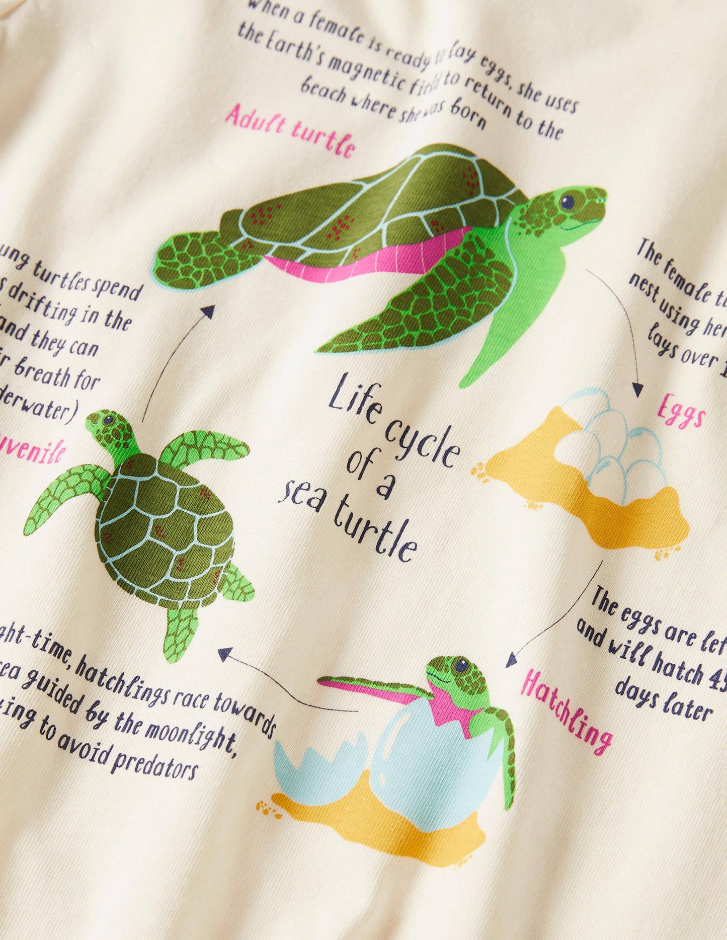 T-Shirt mit lustigen Fakten-Naturweiß, Schildkröten