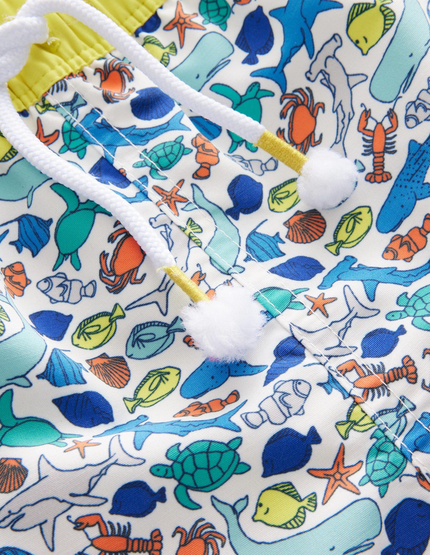 Swim Shorts-Multi Sealife