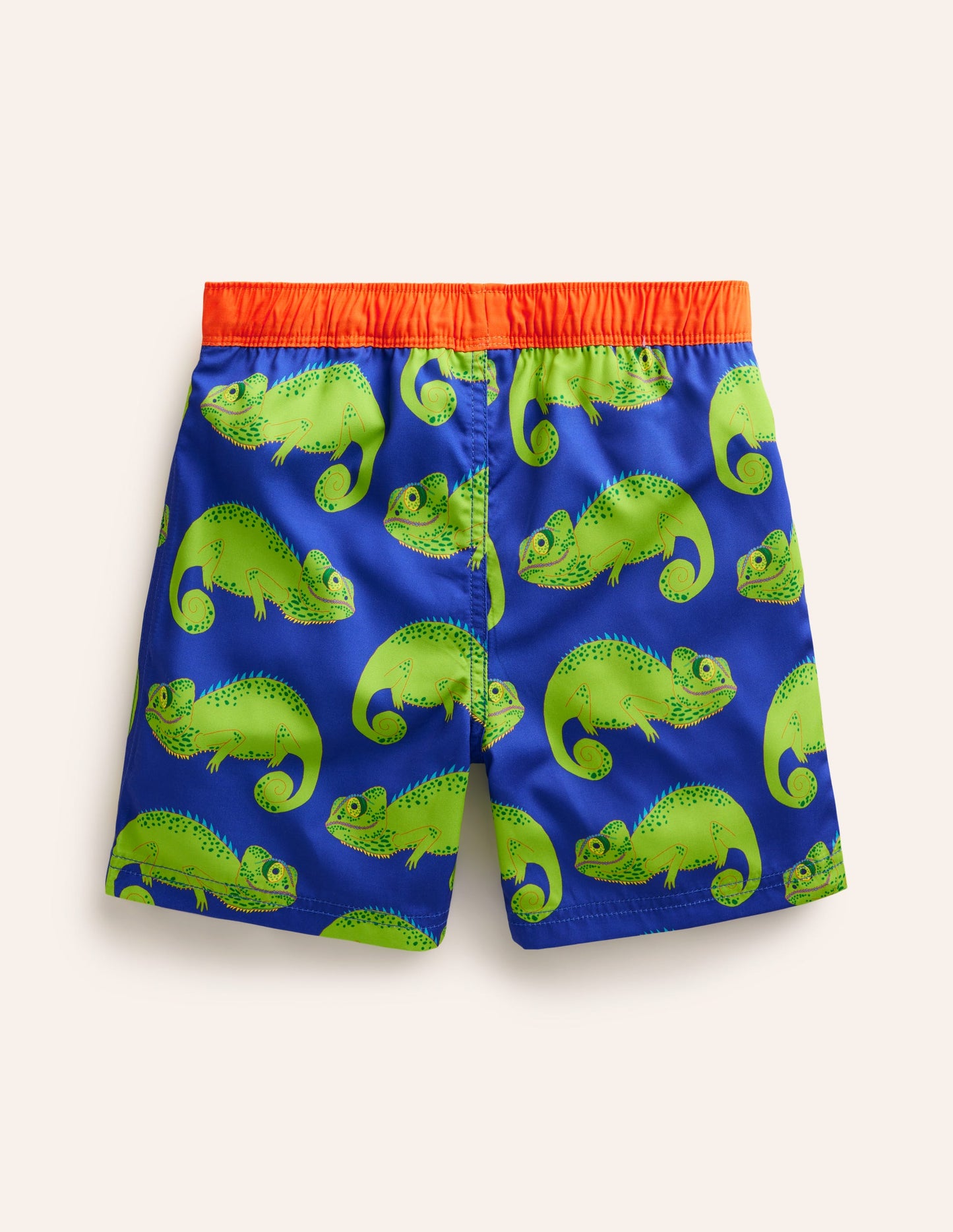 Badeshorts-Blaureiher Chamäleons
