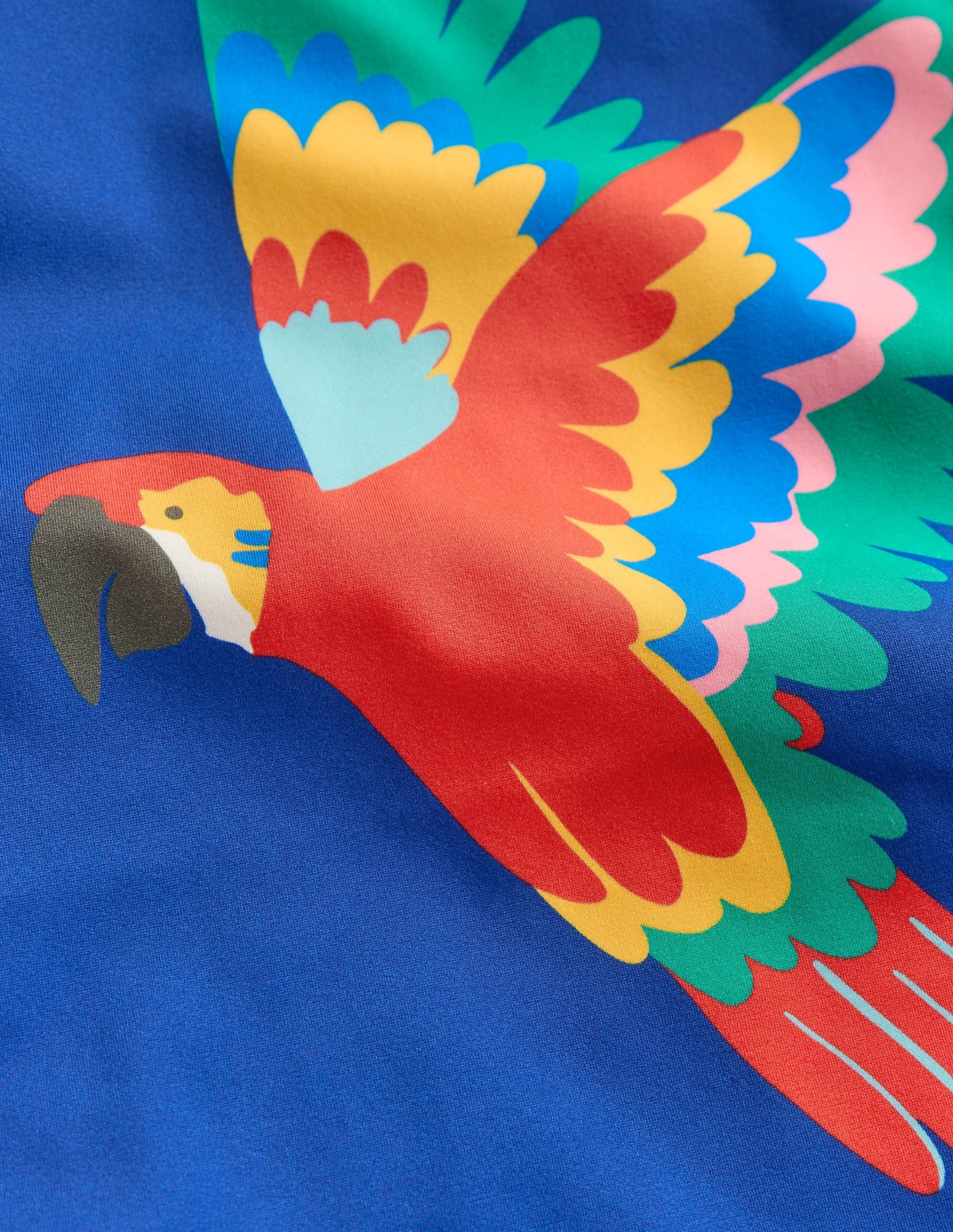 Rash Top mit Logo-Bunt Regenbogen Papagei
