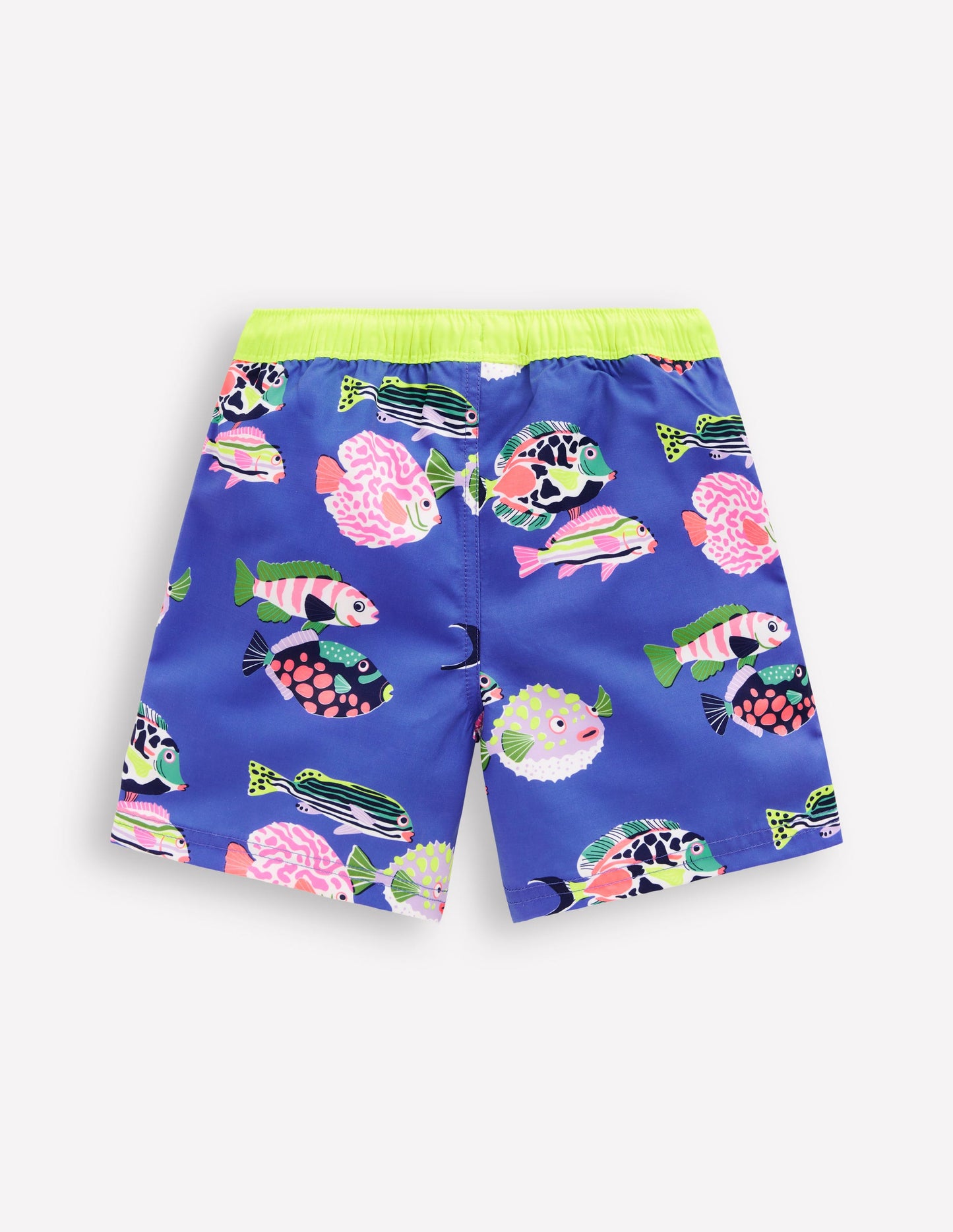 Badeshorts-Blaureiher Fisch