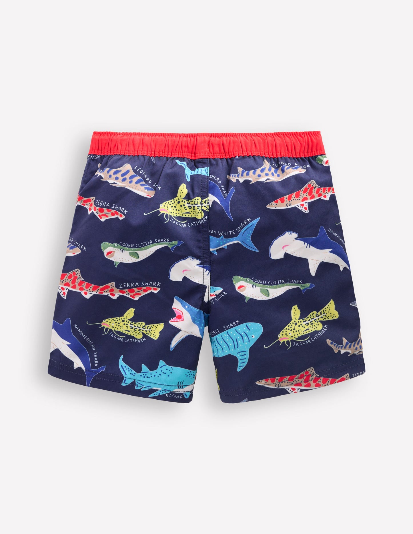 Short de bain-Requins bleu marine universitaire
