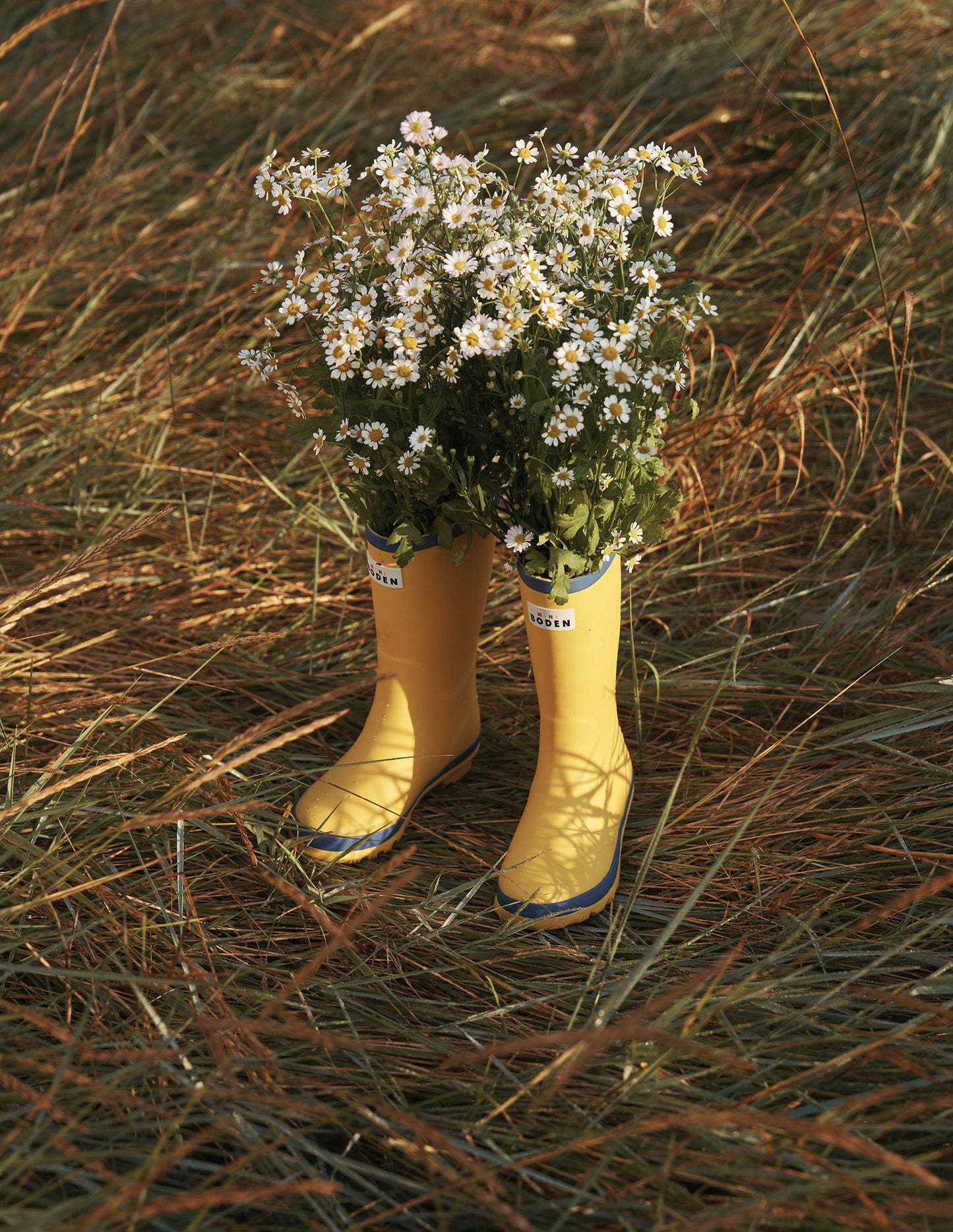 Gummistiefel-Scharfer Senf