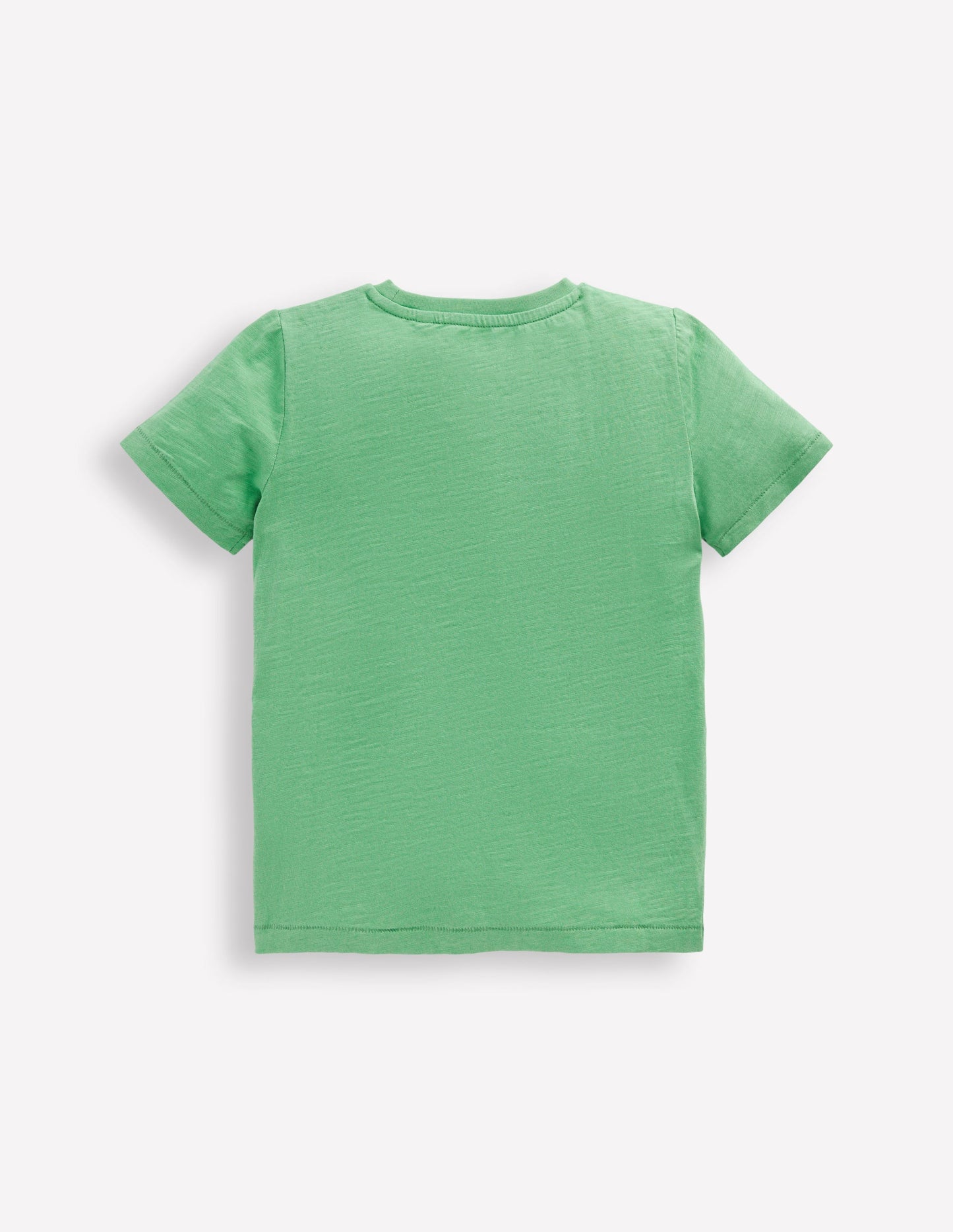 T-Shirt für den Alltag-Aloe Grün