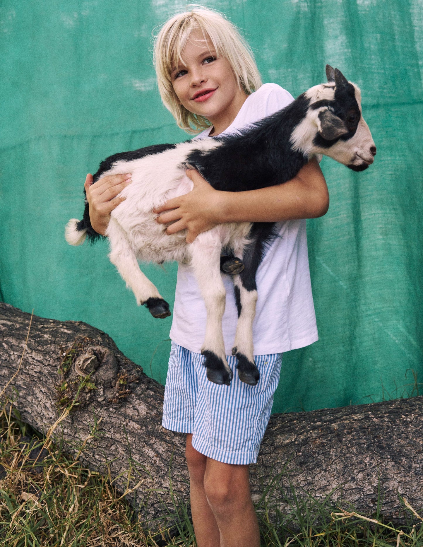 Seersucker-Shorts-Blau Drell Streifen