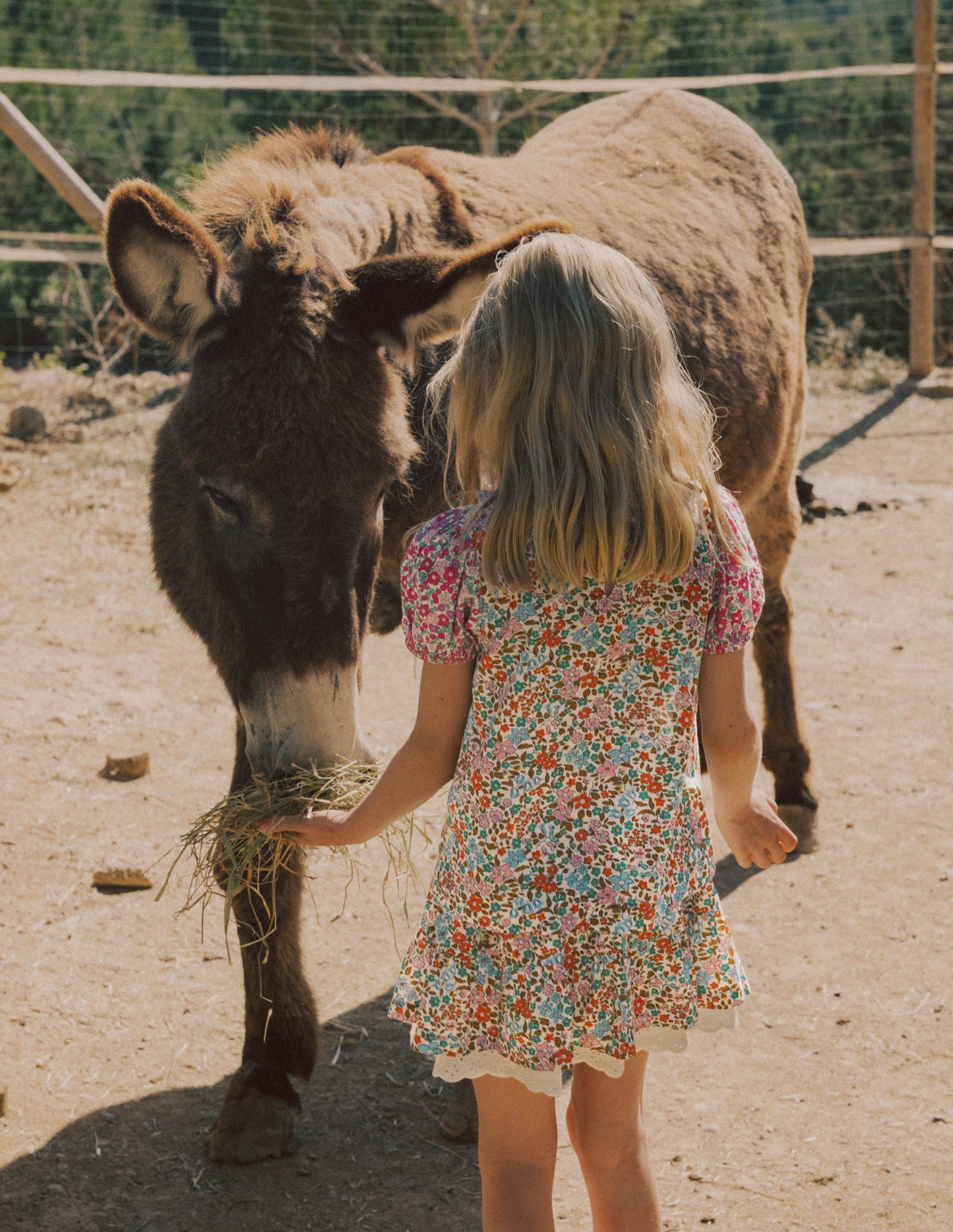 Gesmokte Bluse mit Rüschenausschnitt-Kuddelmuddel Blumenmuster