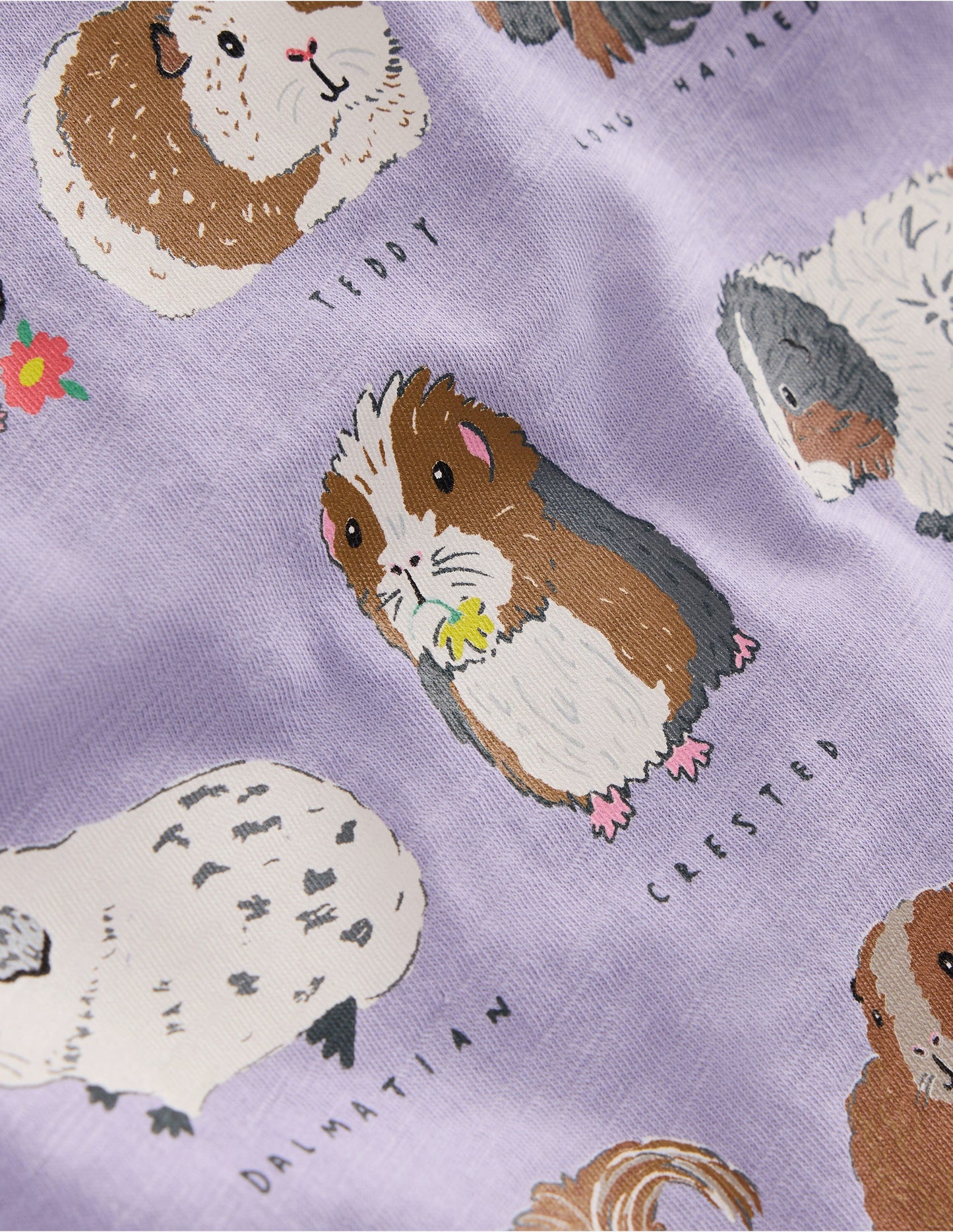 Top à manches courtes volantées et logo-Cochons d'Inde lavande brumeux