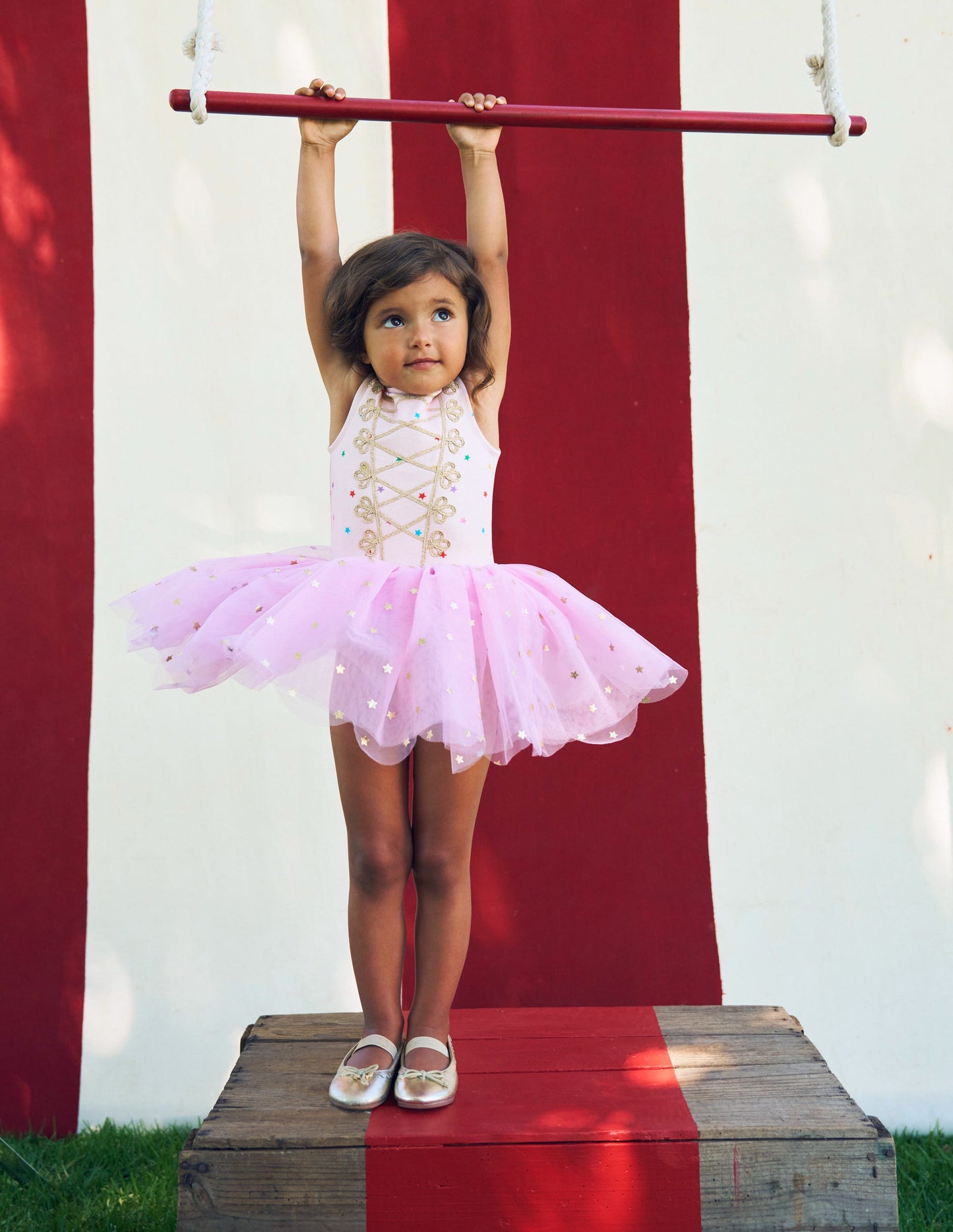 Tutu magique-Étoiles métallisées mauve vintage