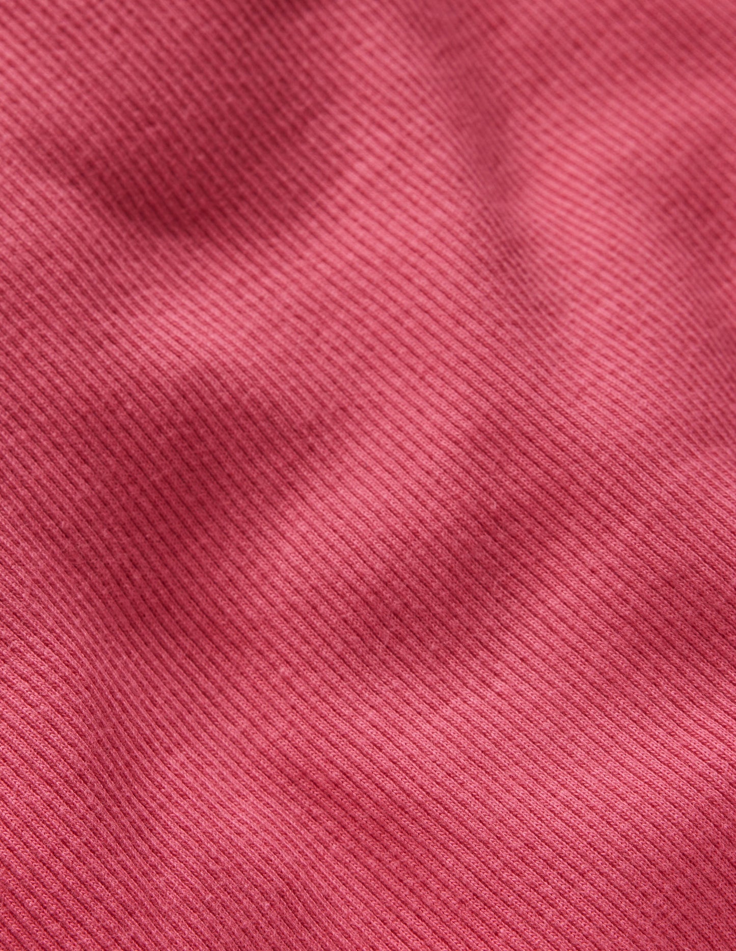 T-shirt côtelé à manches longues-Animals/Stripe