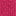 Robe midi Charlotte en coton-Cerise vif