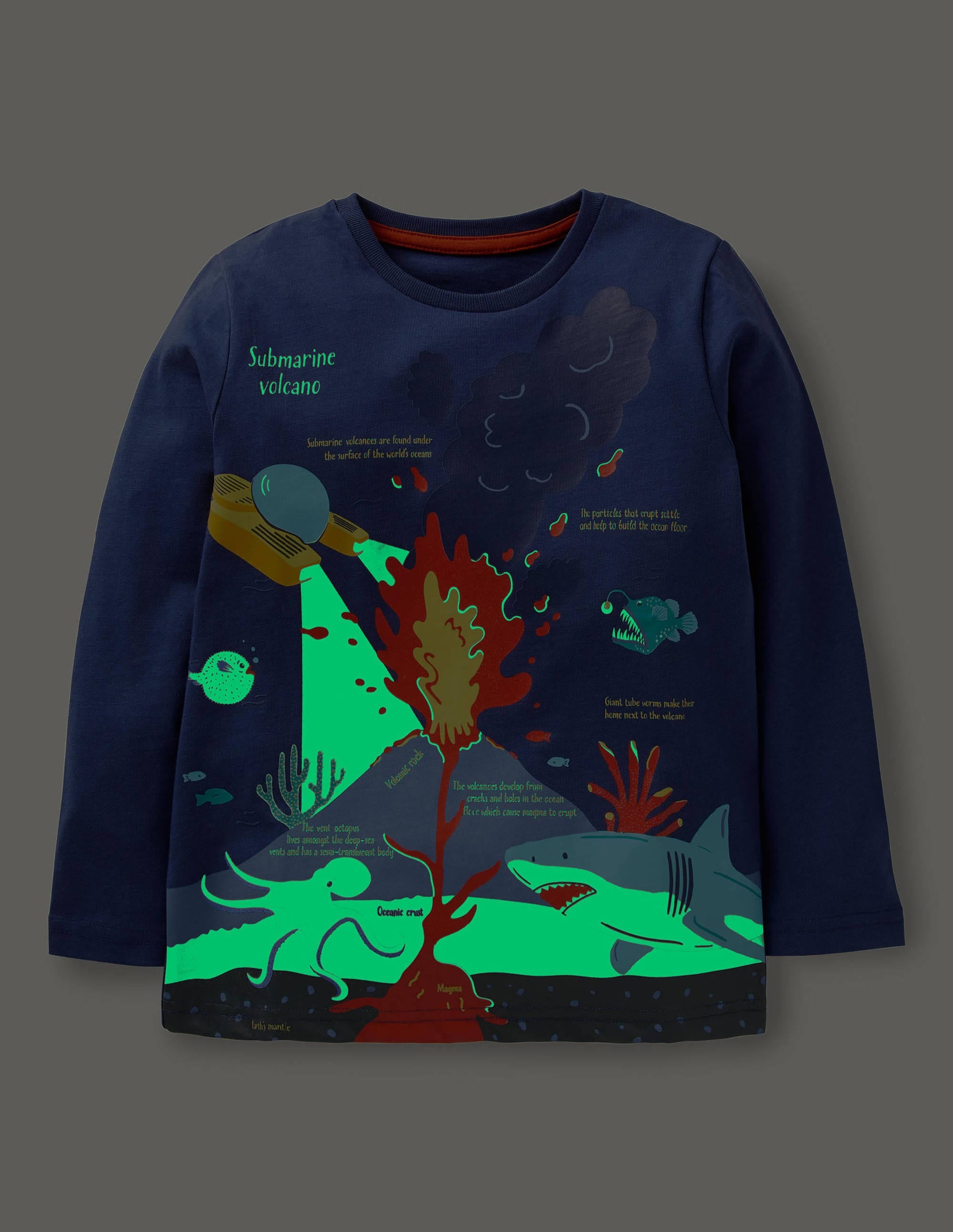 T-shirt avec paysage lumineux-Volcan eau bleu tribord - Image 4