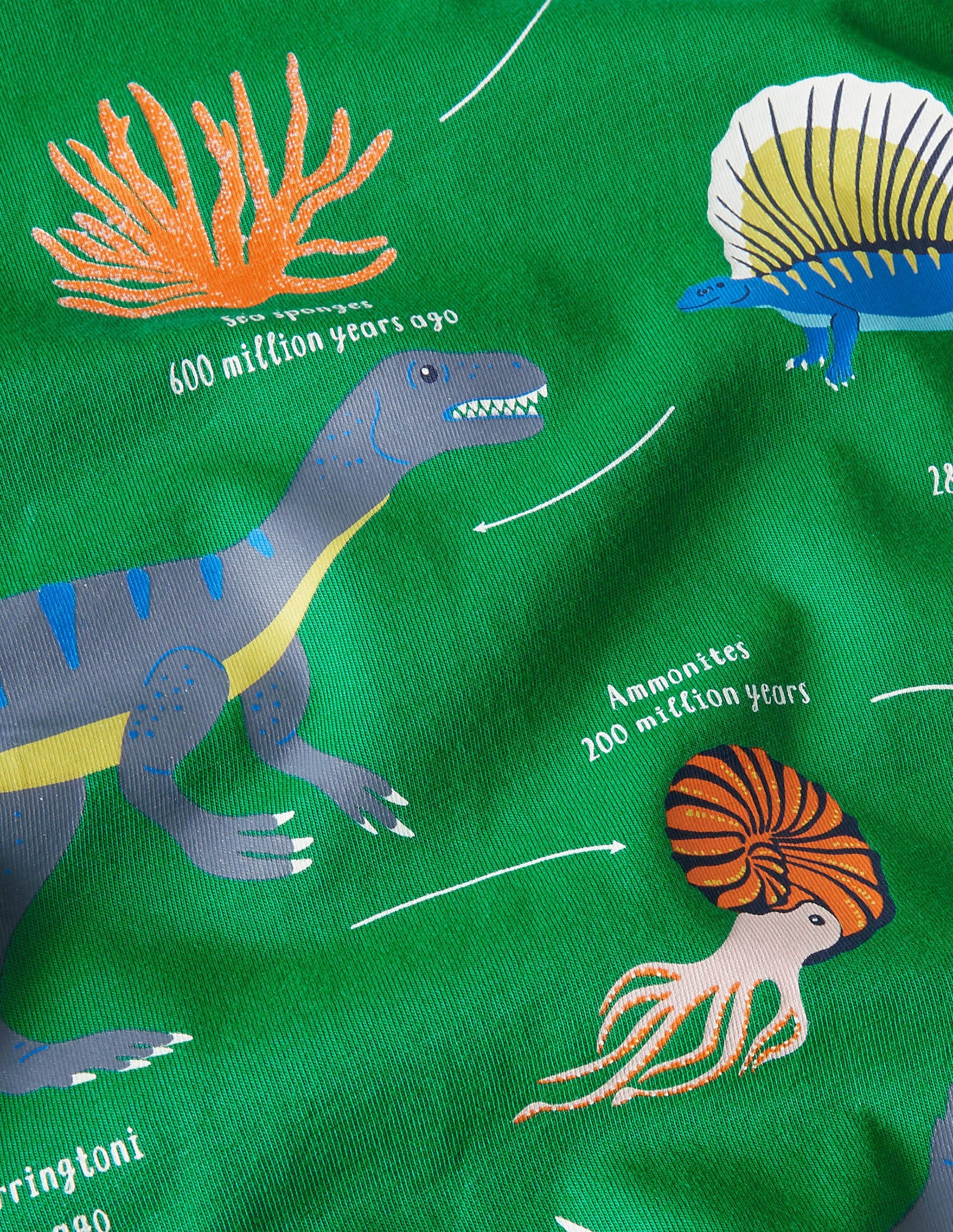 T-Shirt mit lehrreichem Motiv-Schottengrün, Dinosaurier-3