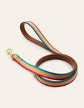 Laisse pour chien en cuir-Fauve, rayé multi