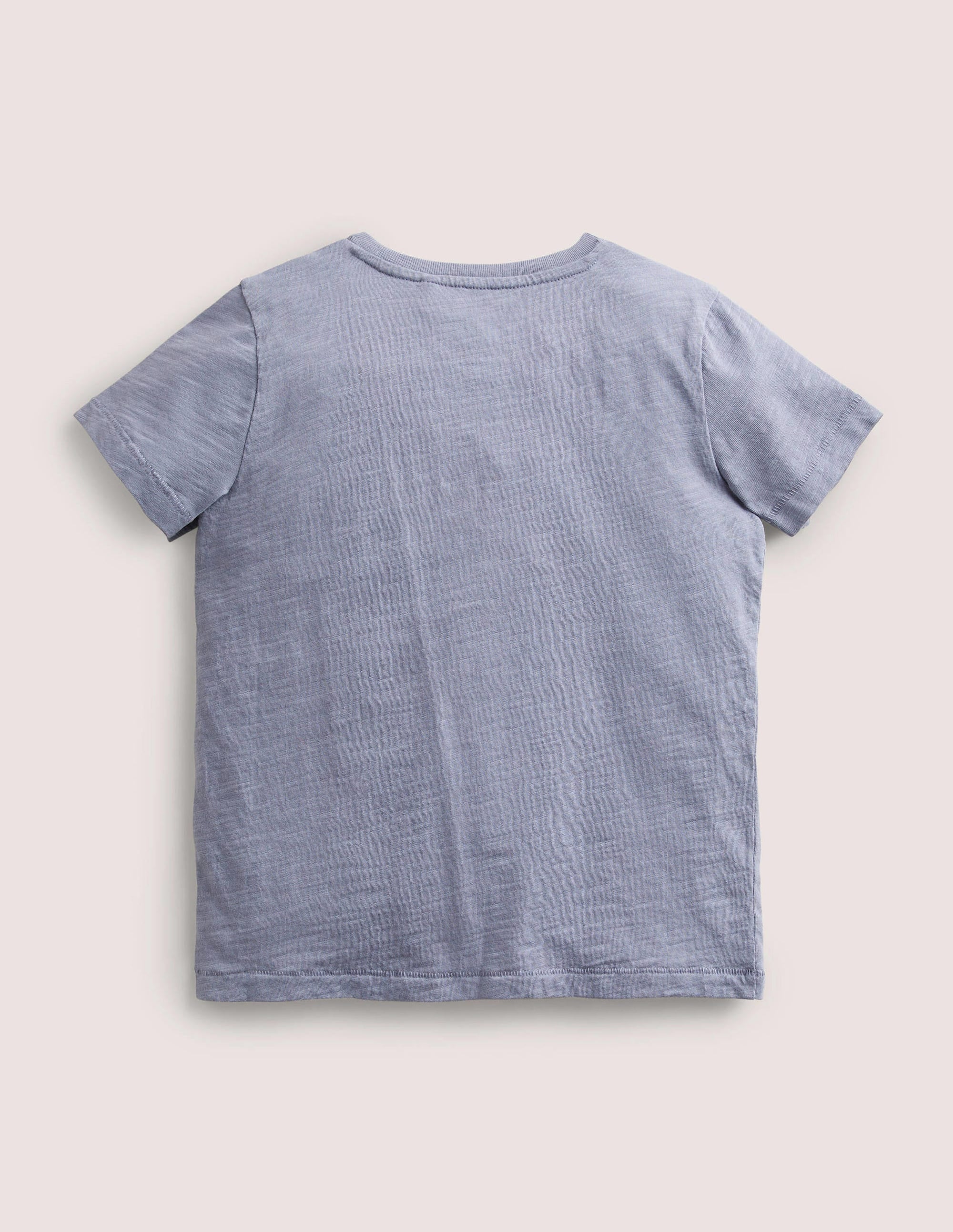 Striped Washed Slub T-shirt-Ash Blue - Image 2