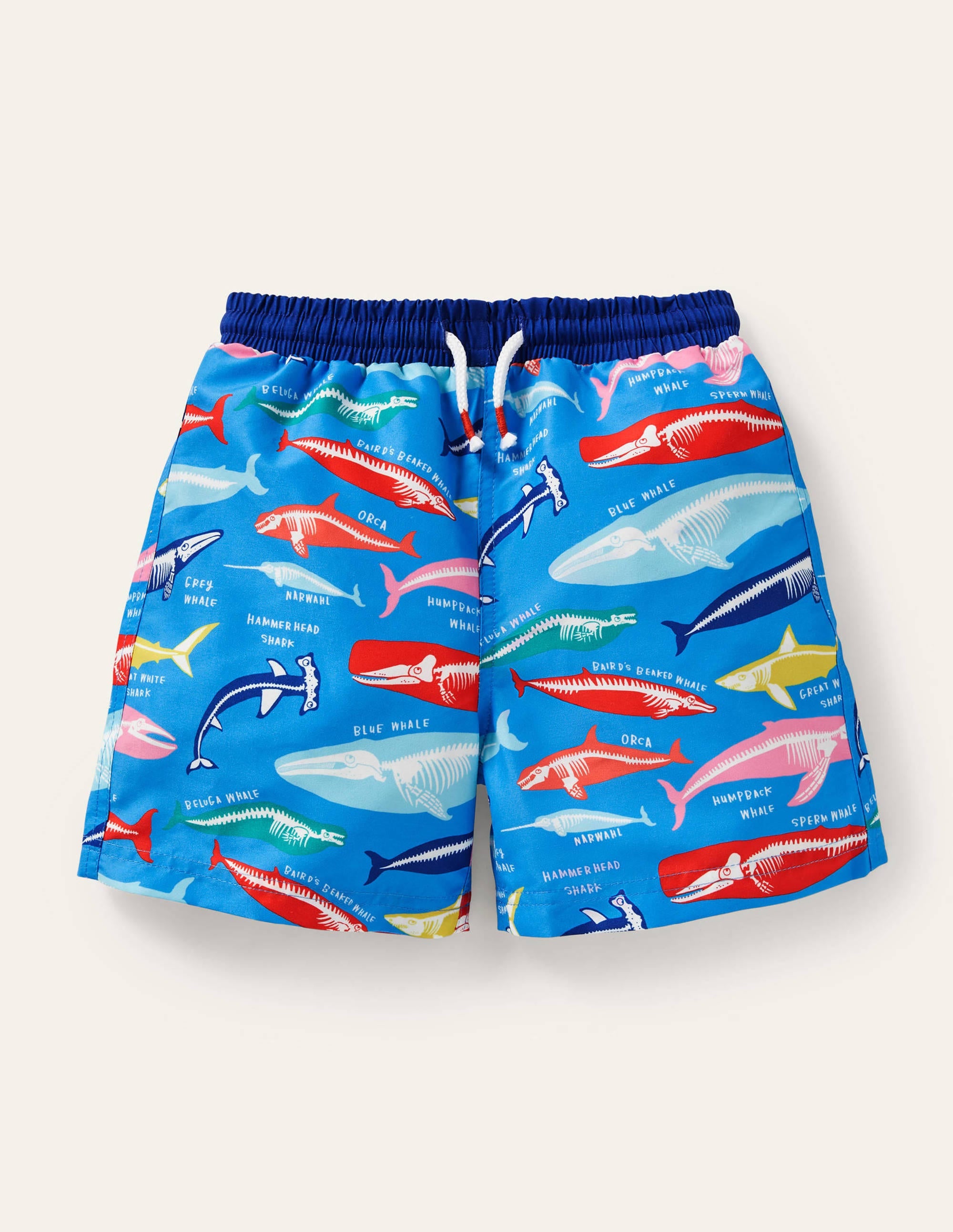 Gemusterte Badeshorts-Malibu-Blau, Walskelette - Image 1