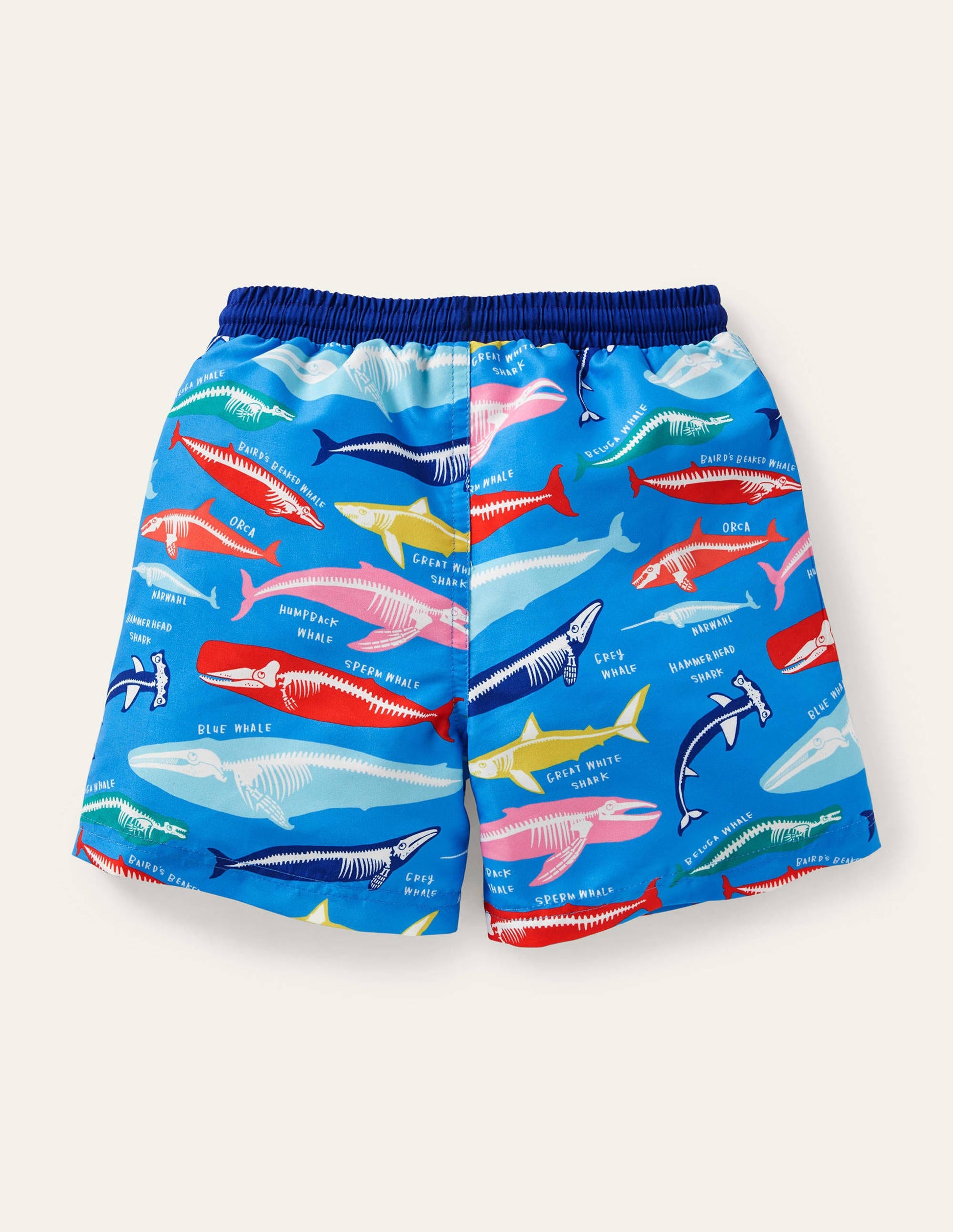 Gemusterte Badeshorts-Malibu-Blau, Walskelette-2