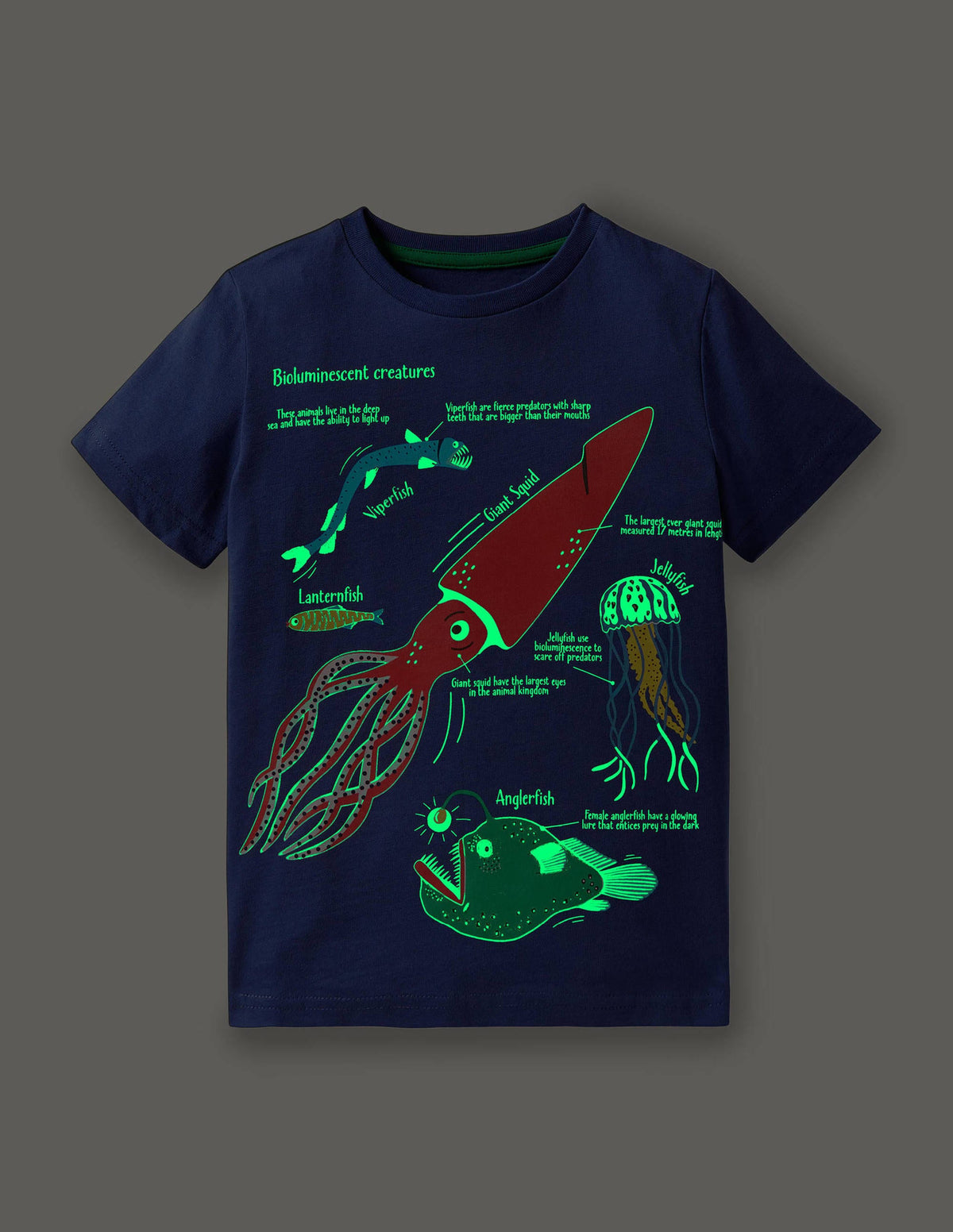 Glow-in-the-Dark Sea T-shirt-Starboard Blue Creatures - Image 4