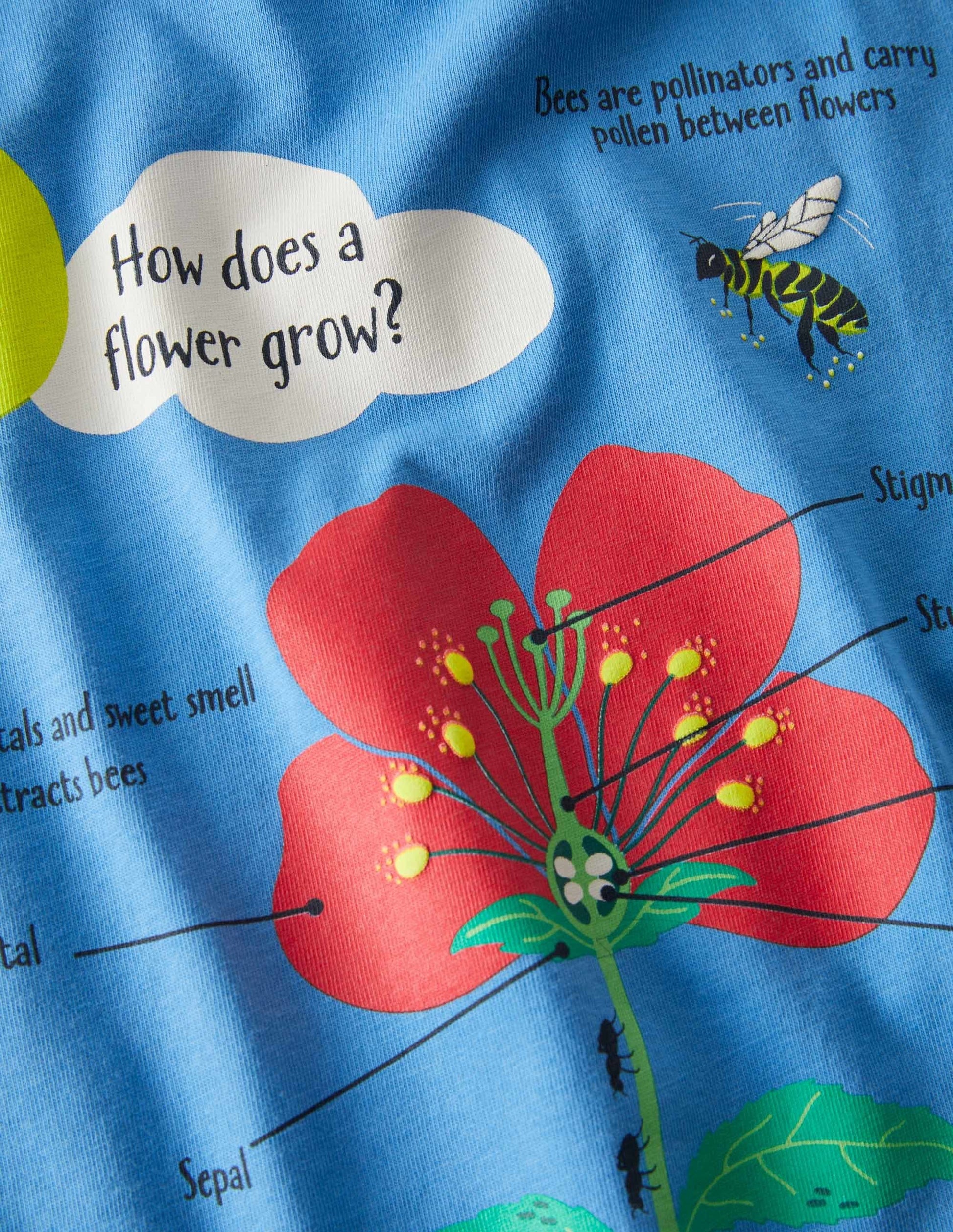 T-Shirt mit lehrreichem Motiv-Helles Glockenblumenblau, Blume-3
