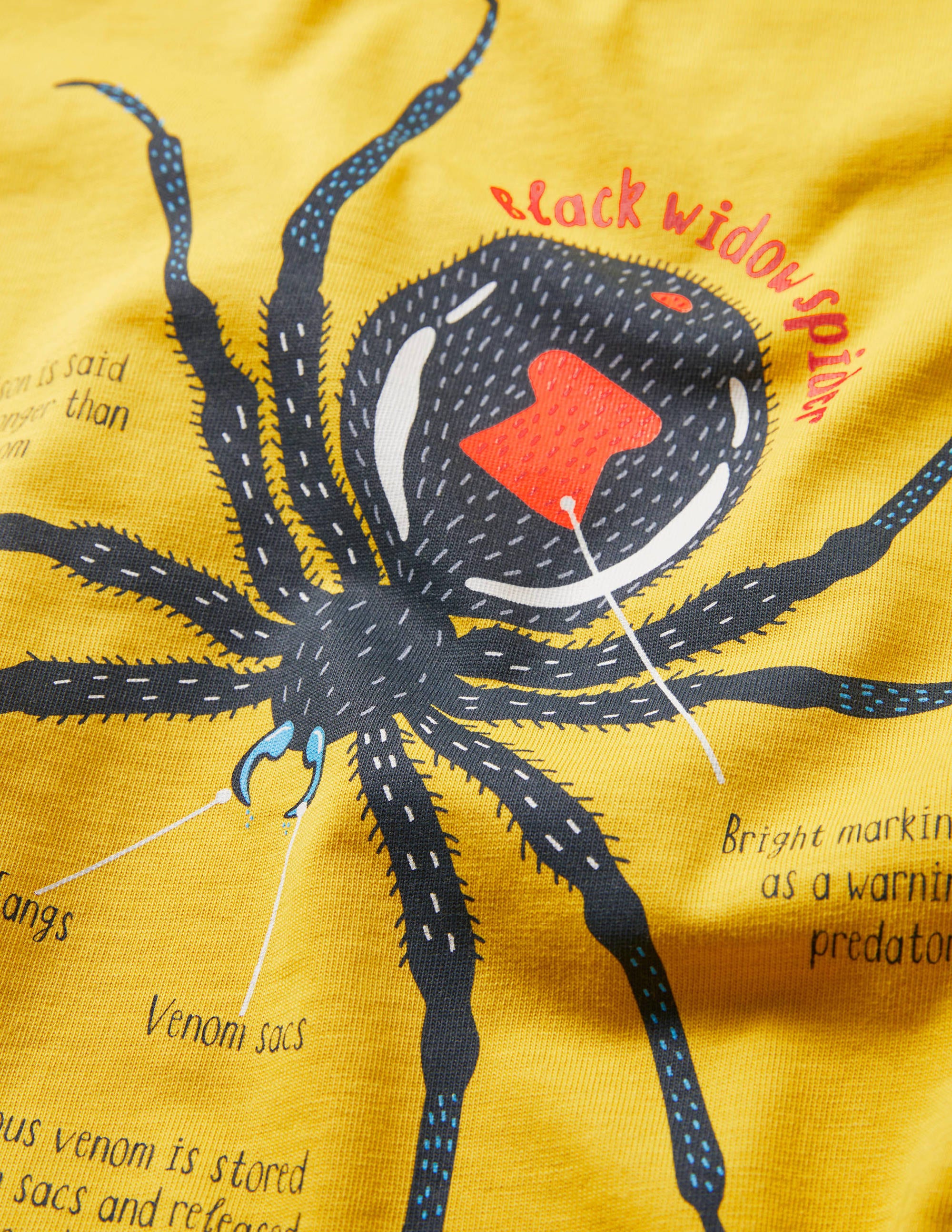 T-shirt à bordures contrastantes et imprimé-Araignée jaune jonquille - Image 3
