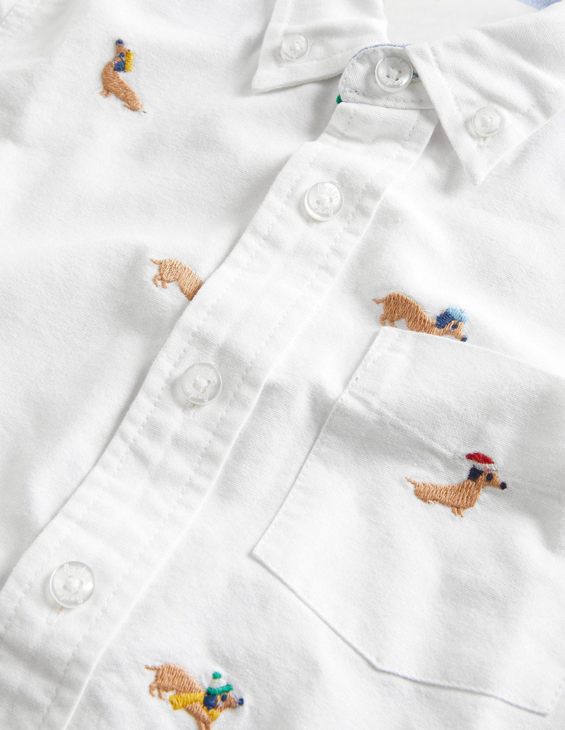 Chemise en oxford-Chiens oxford-3