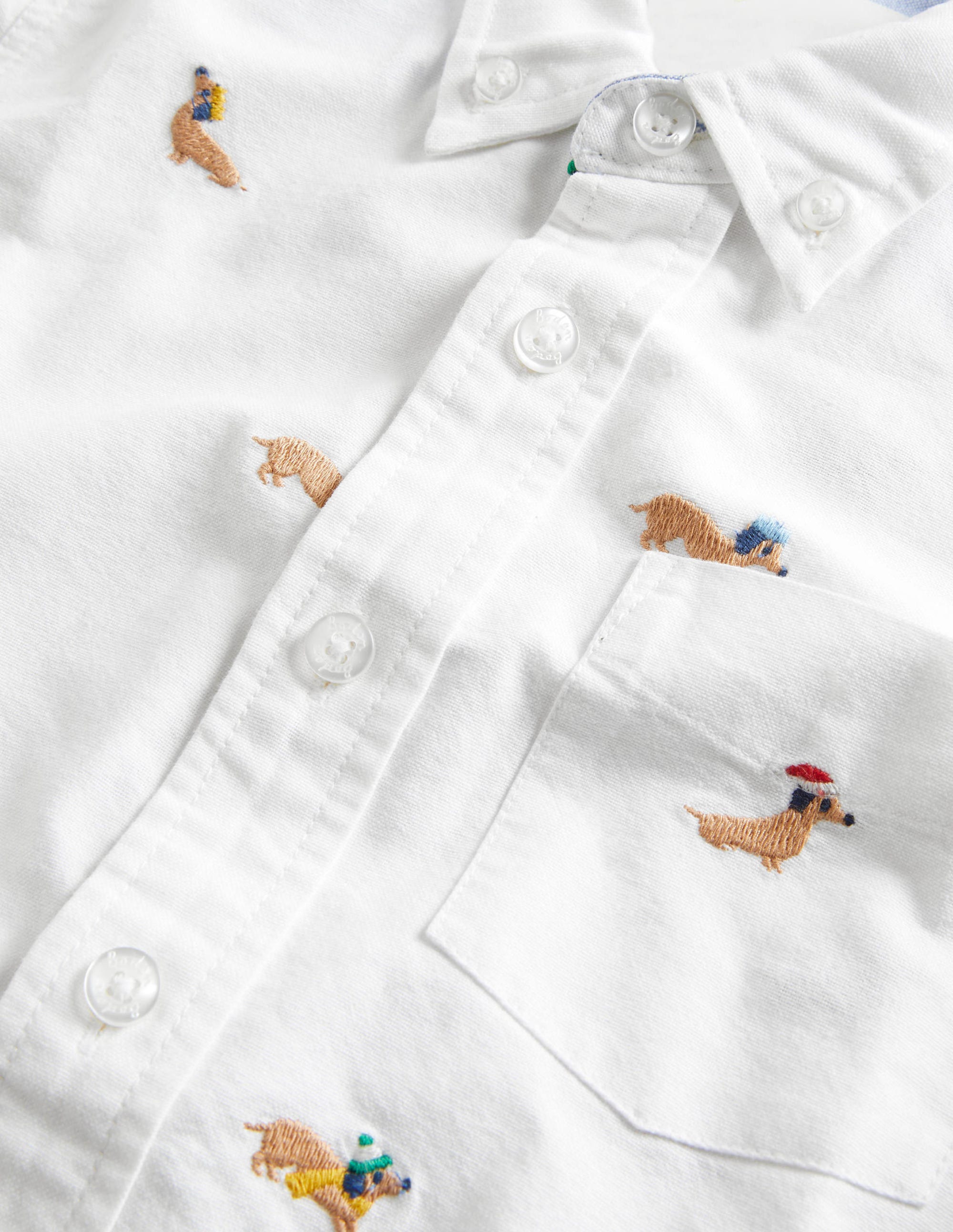 Chemise en oxford-Chiens oxford - Image 3