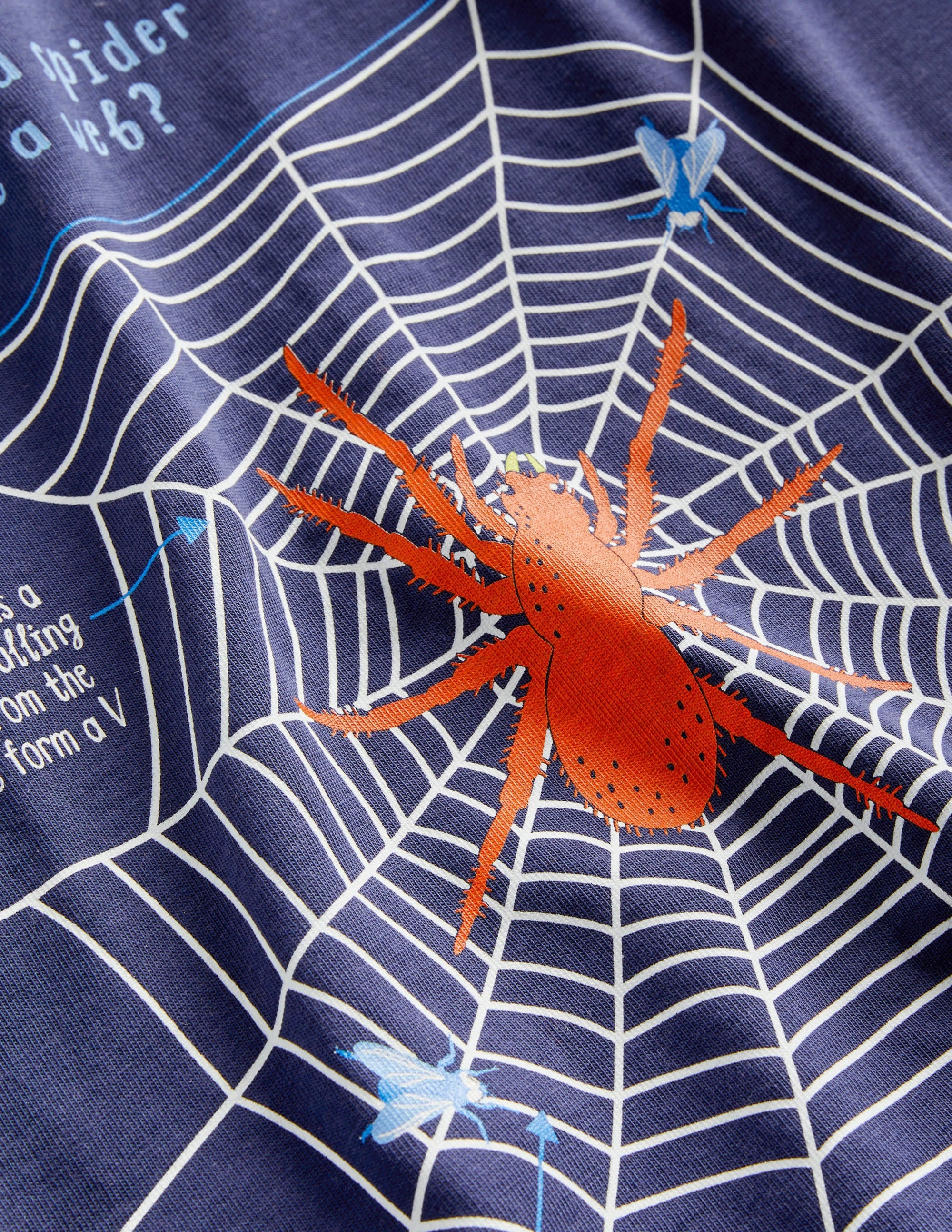 Navy Spider Print Long-Sleeved Halloween T-shirt-College Navy Spider Web - Image 3