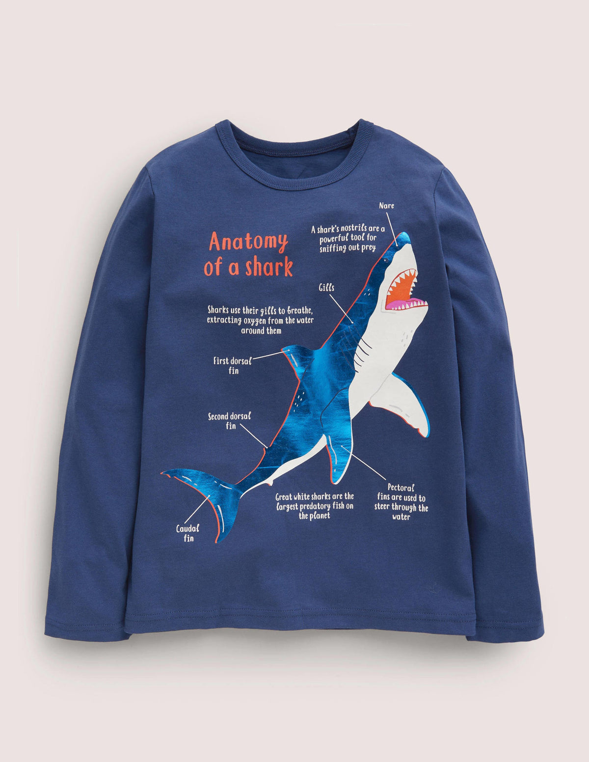Oberteil mit lehrreichem Motiv-Schuluniform-Navy, Hai-1
