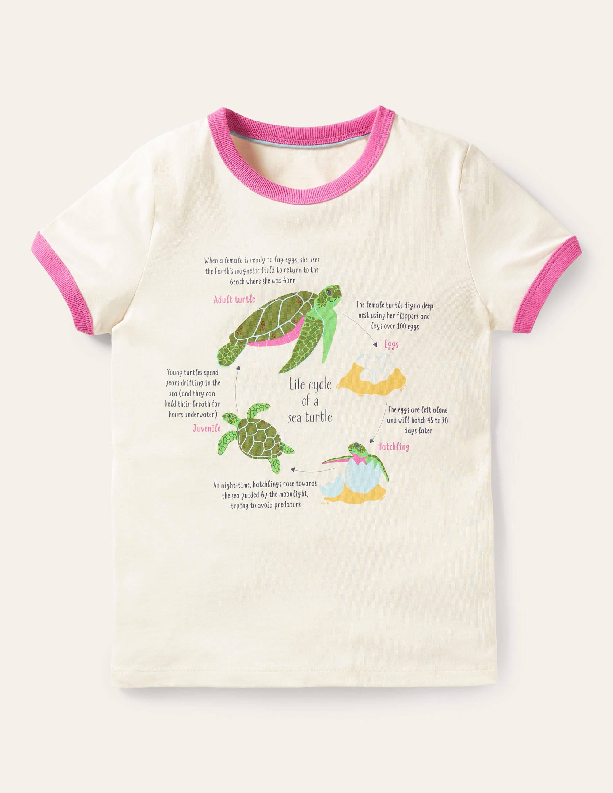 T-shirt à motif infos amusantes-Tortues ivoire - Image 1