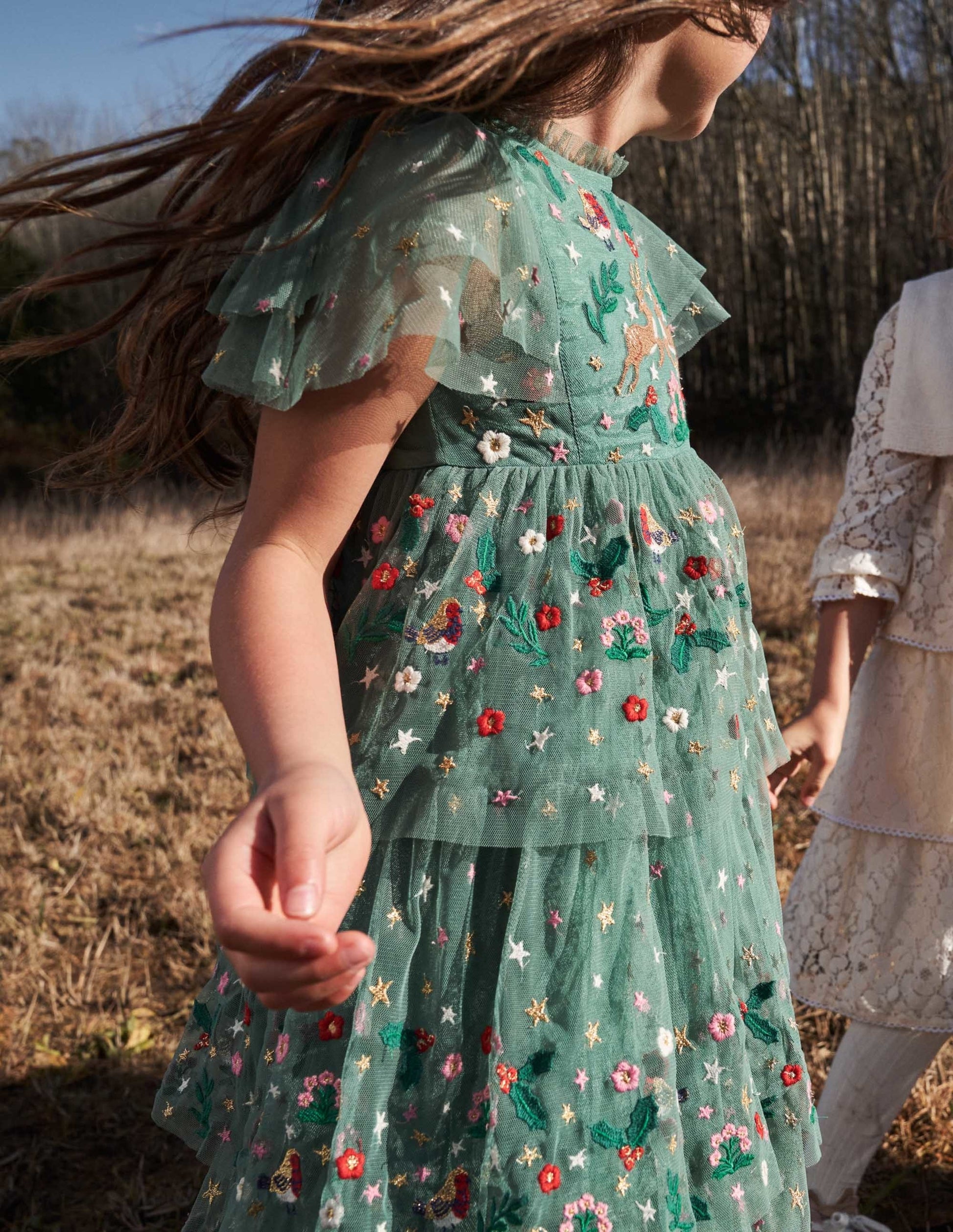 Green Frill Sleeve Tulle Embroidered Party Dress-Zultanitgrün, Weihnachtsmotiv-6