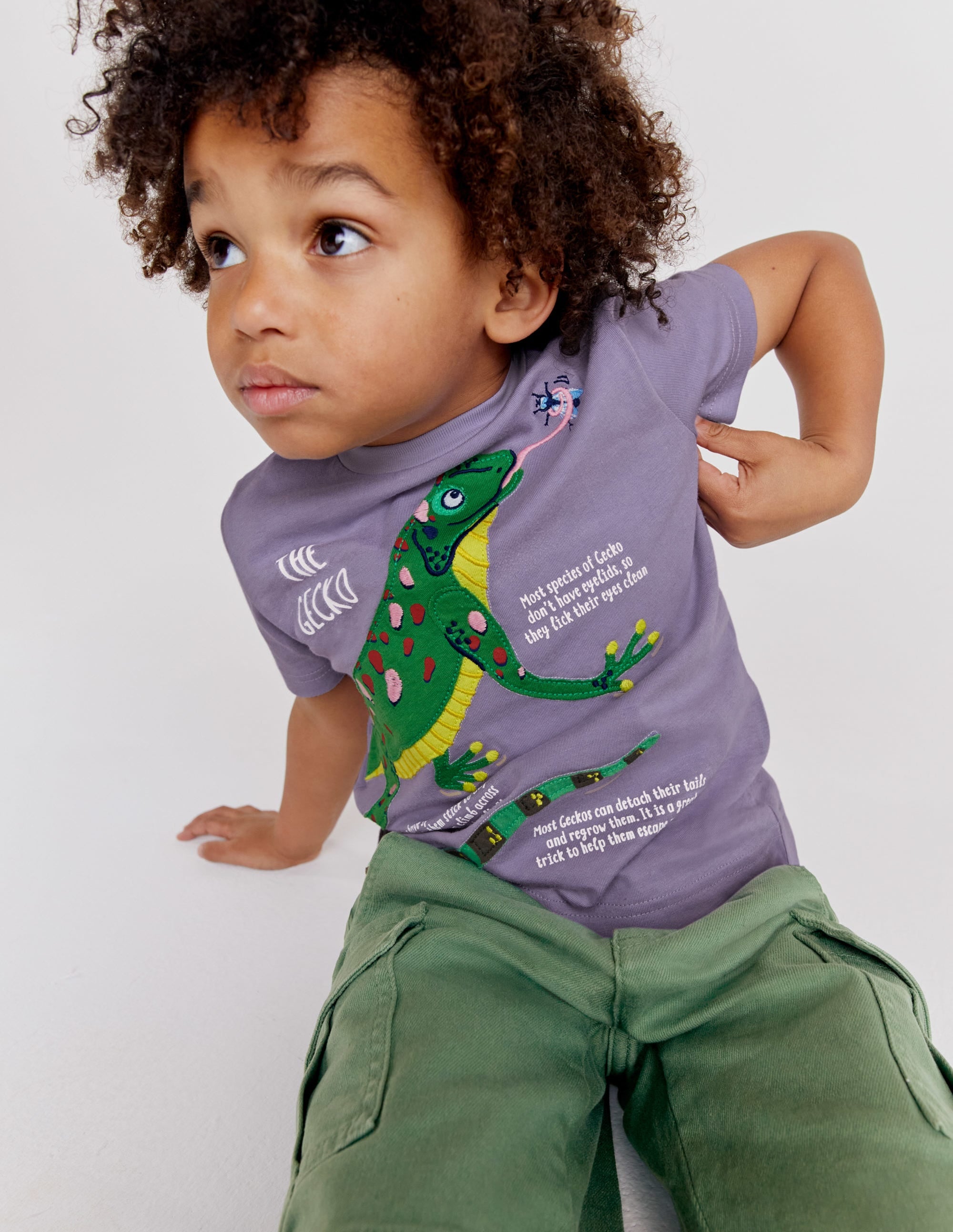 T-shirt à motif infos animalières-Lézard lavande brumeuse - Image 7