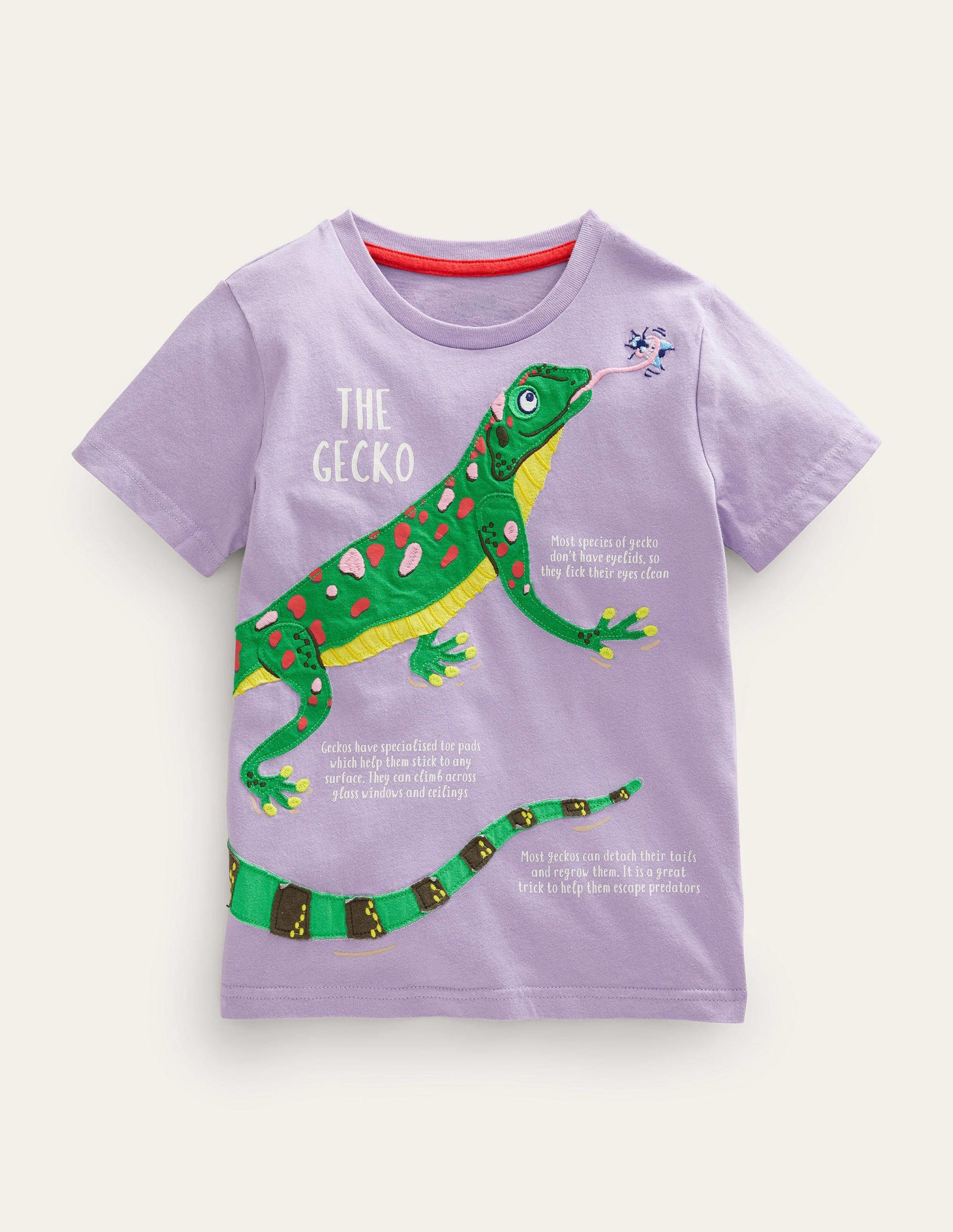 T-shirt à motif infos animalières-Lézard lavande brumeuse-1