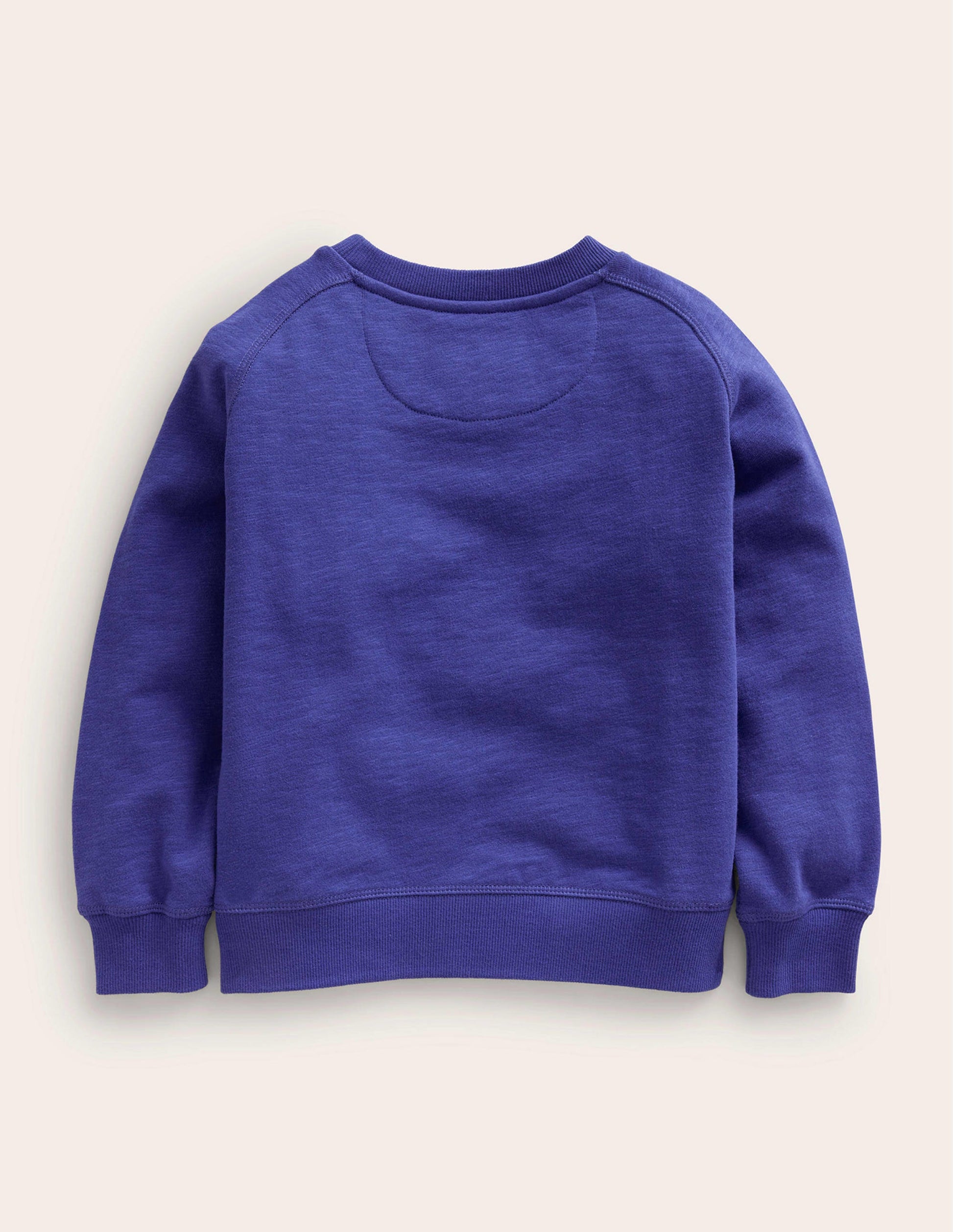 Eulen-Sweatshirt-Blau-2