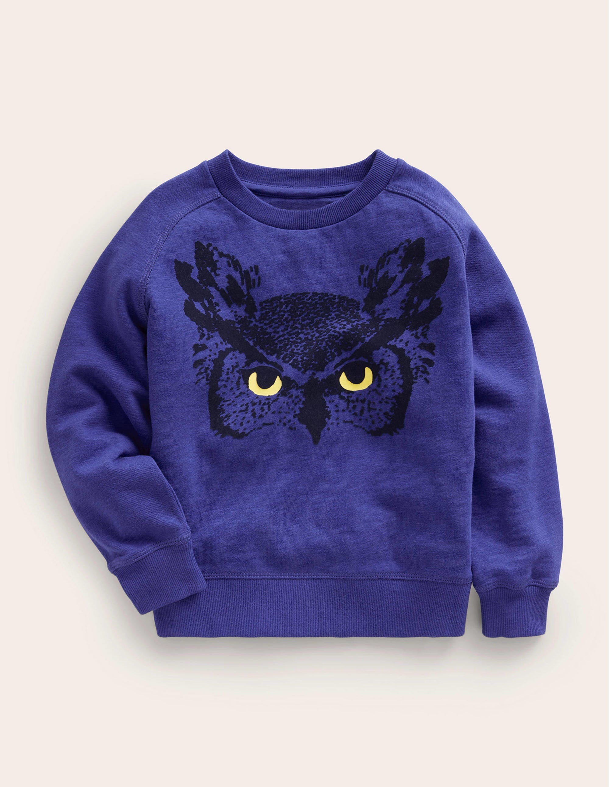 Eulen-Sweatshirt-Blau - Image 1
