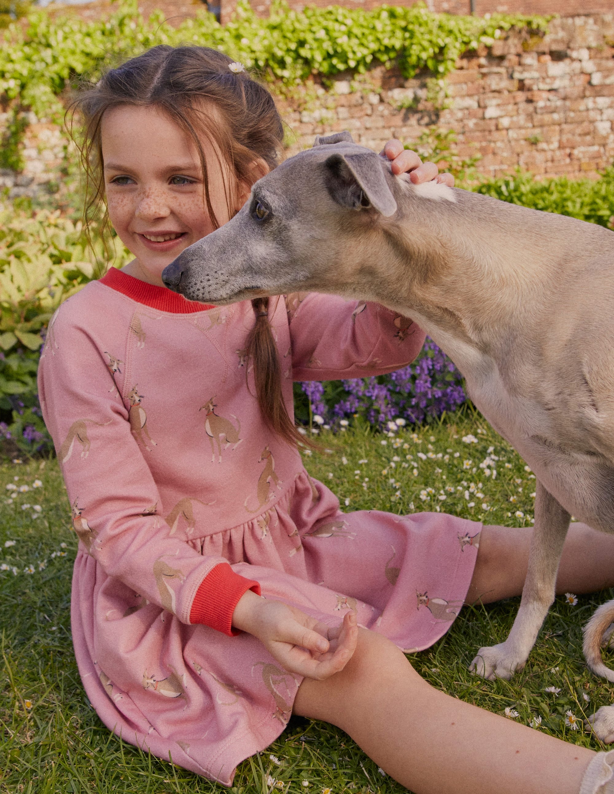 Robe-sweat imprimée-Whippet rose vintage - Image 4