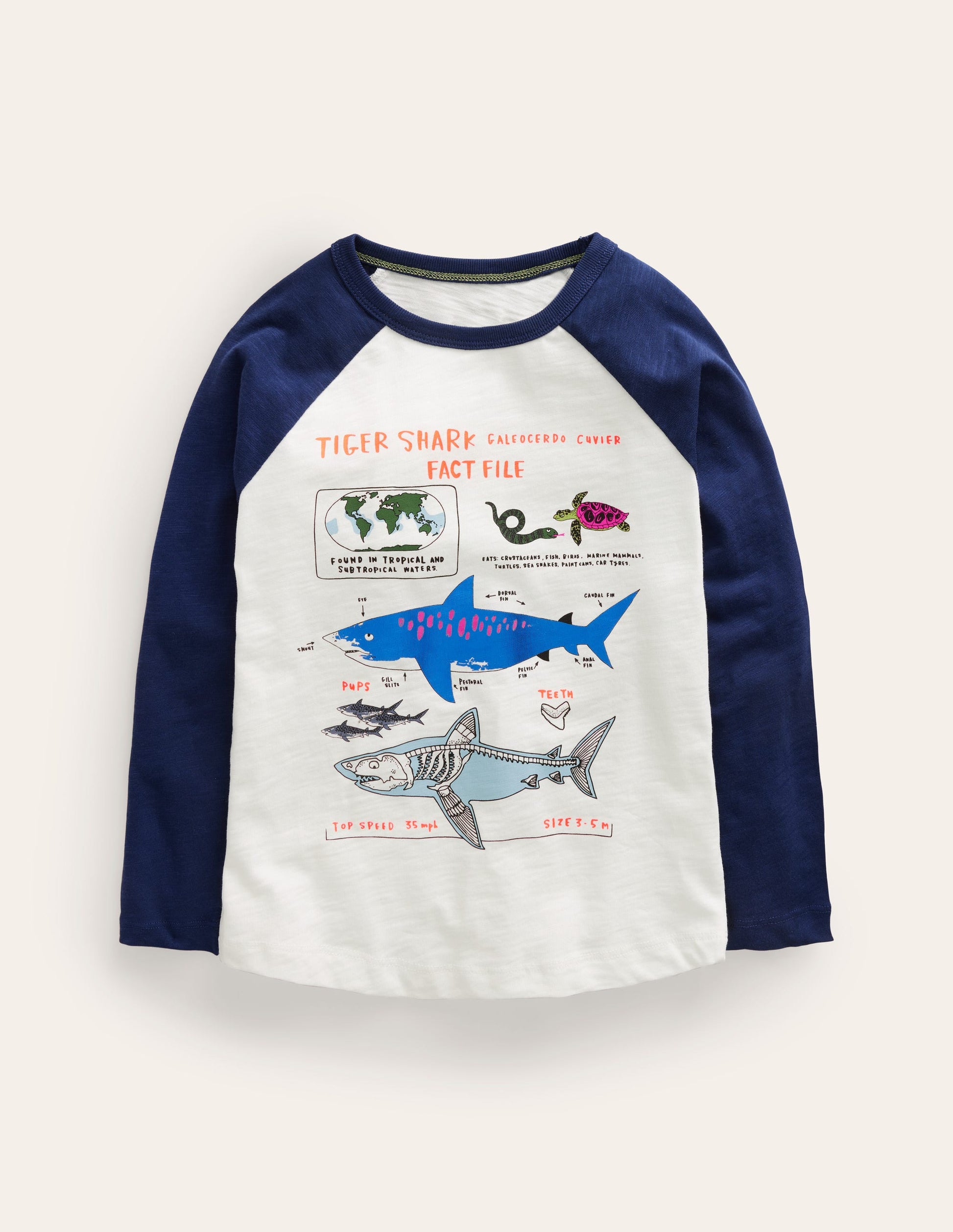 Raglan-T-Shirt mit Faktentabelle-Naturweiß/Marineblau Haie-1