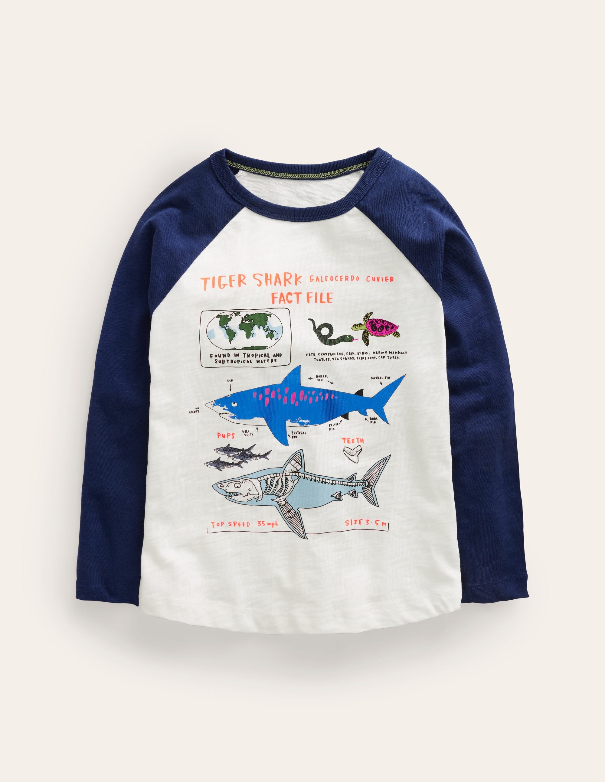 Raglan-T-Shirt mit Faktentabelle-Naturweiß/Marineblau Haie - Image 1