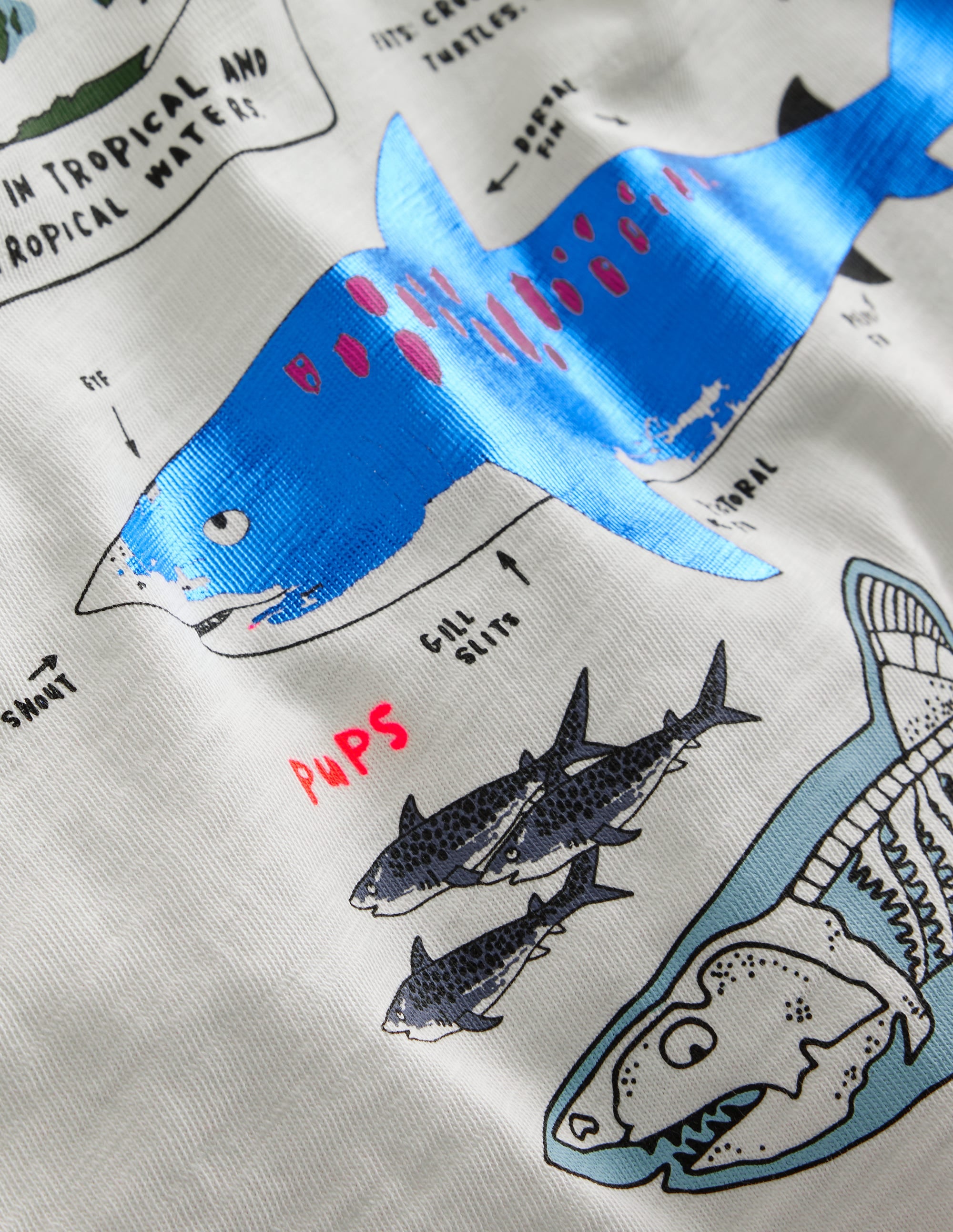Raglan-T-Shirt mit Faktentabelle-Naturweiß/Marineblau Haie - Image 3