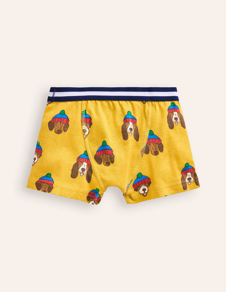 5 boxers-Bunte Hunde