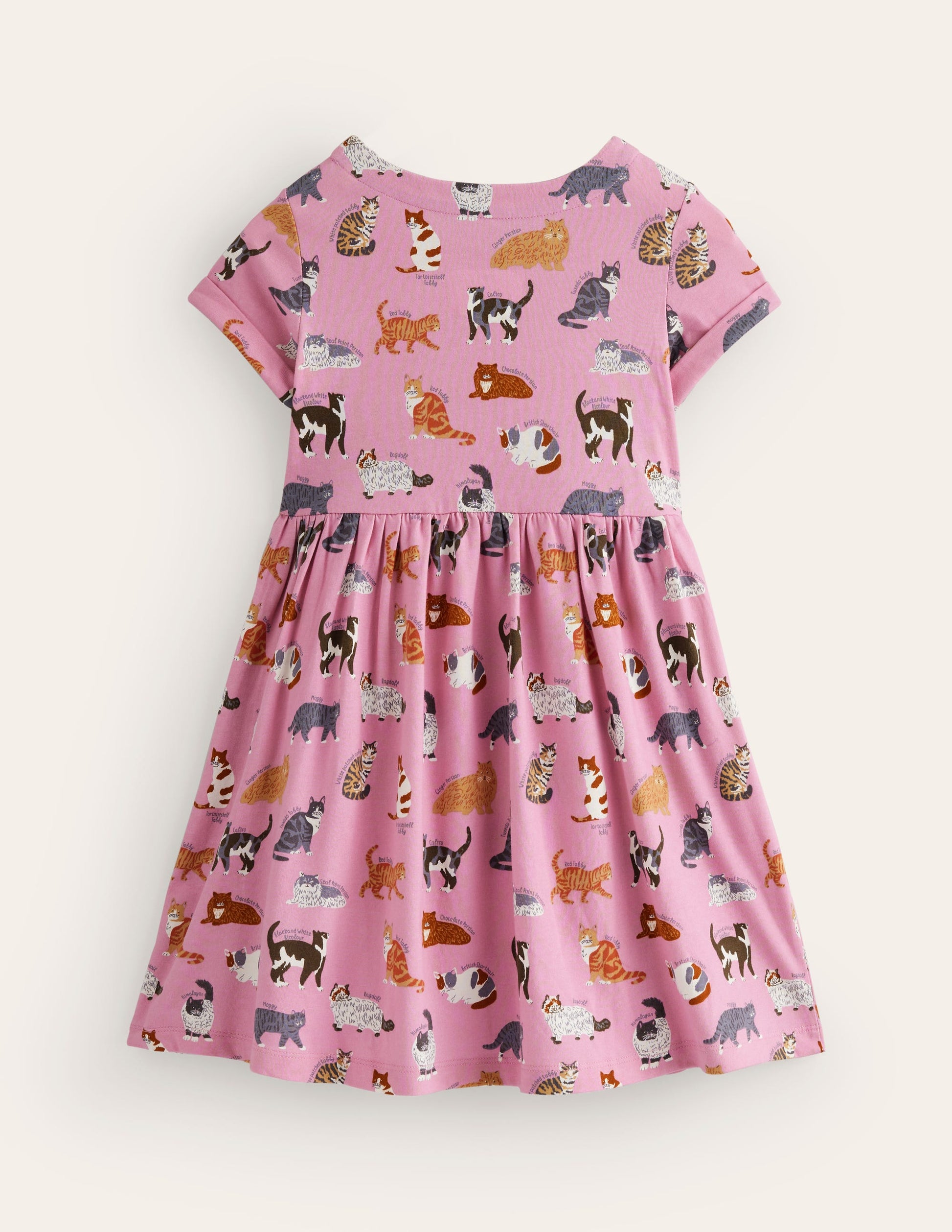 Lustiges Jerseykleid mit kurzen Ärmeln-Kirschblütenrosa Katzen-2