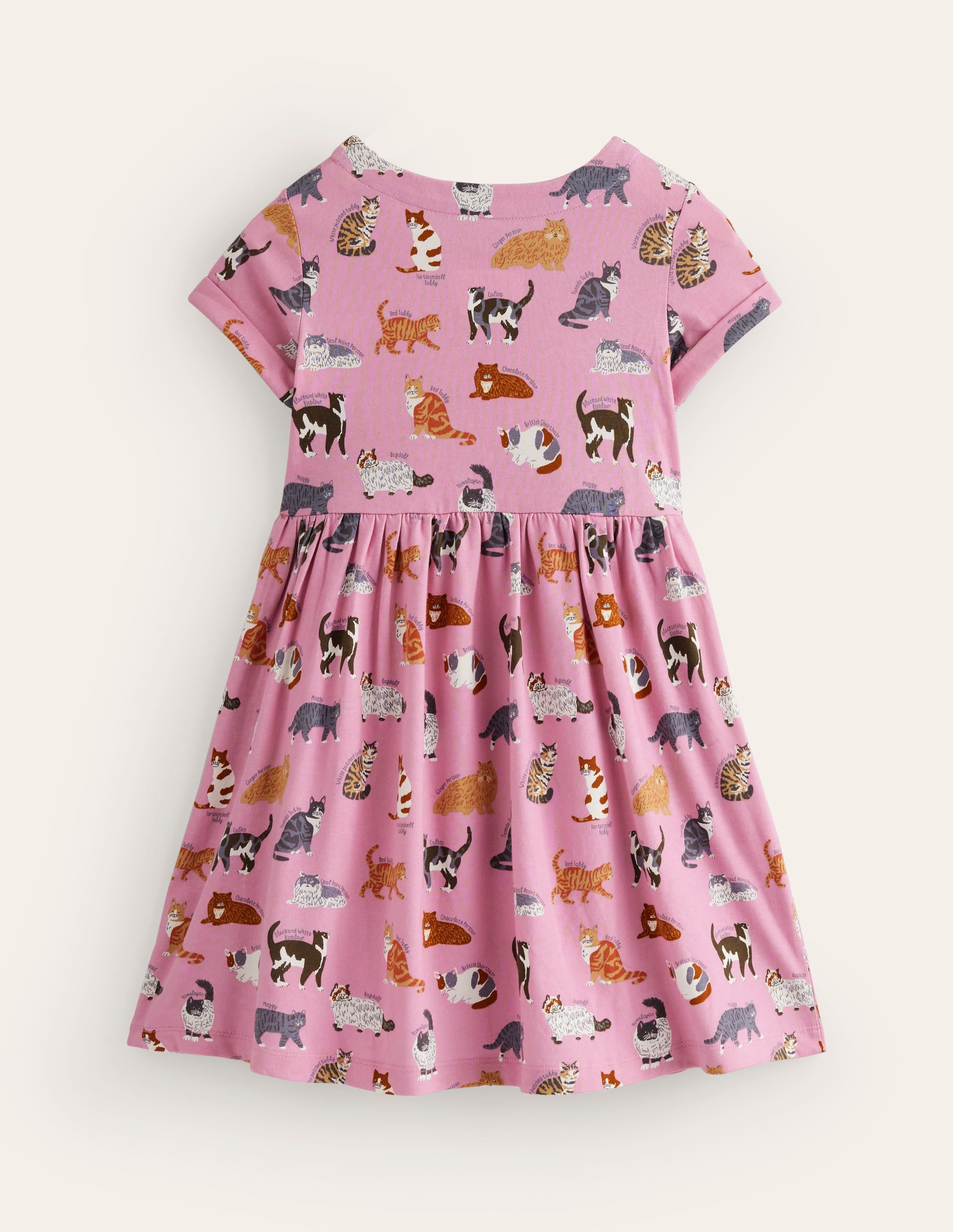 Lustiges Jerseykleid mit kurzen Ärmeln-Kirschblütenrosa Katzen - Image 2