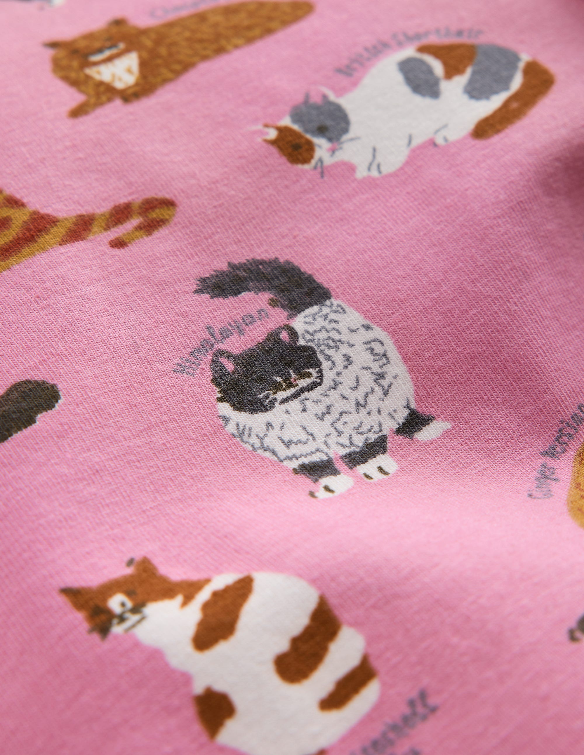 Lustige Leggings-Kirschblütenrosa Katzen - Image 3