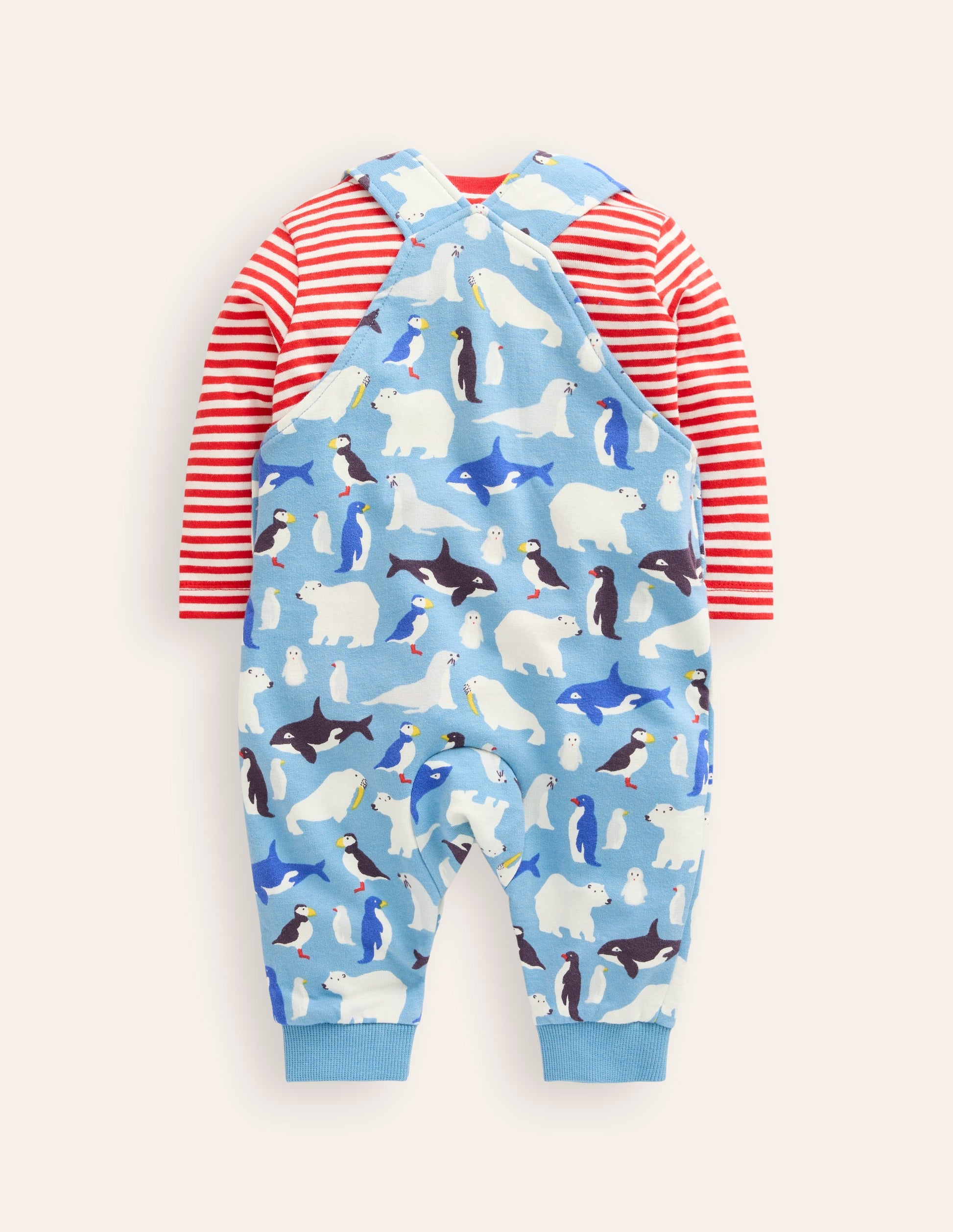 Bedrucktes Jersey-Oberteil und Latzhose im Set-Regenbogen Farm-2
