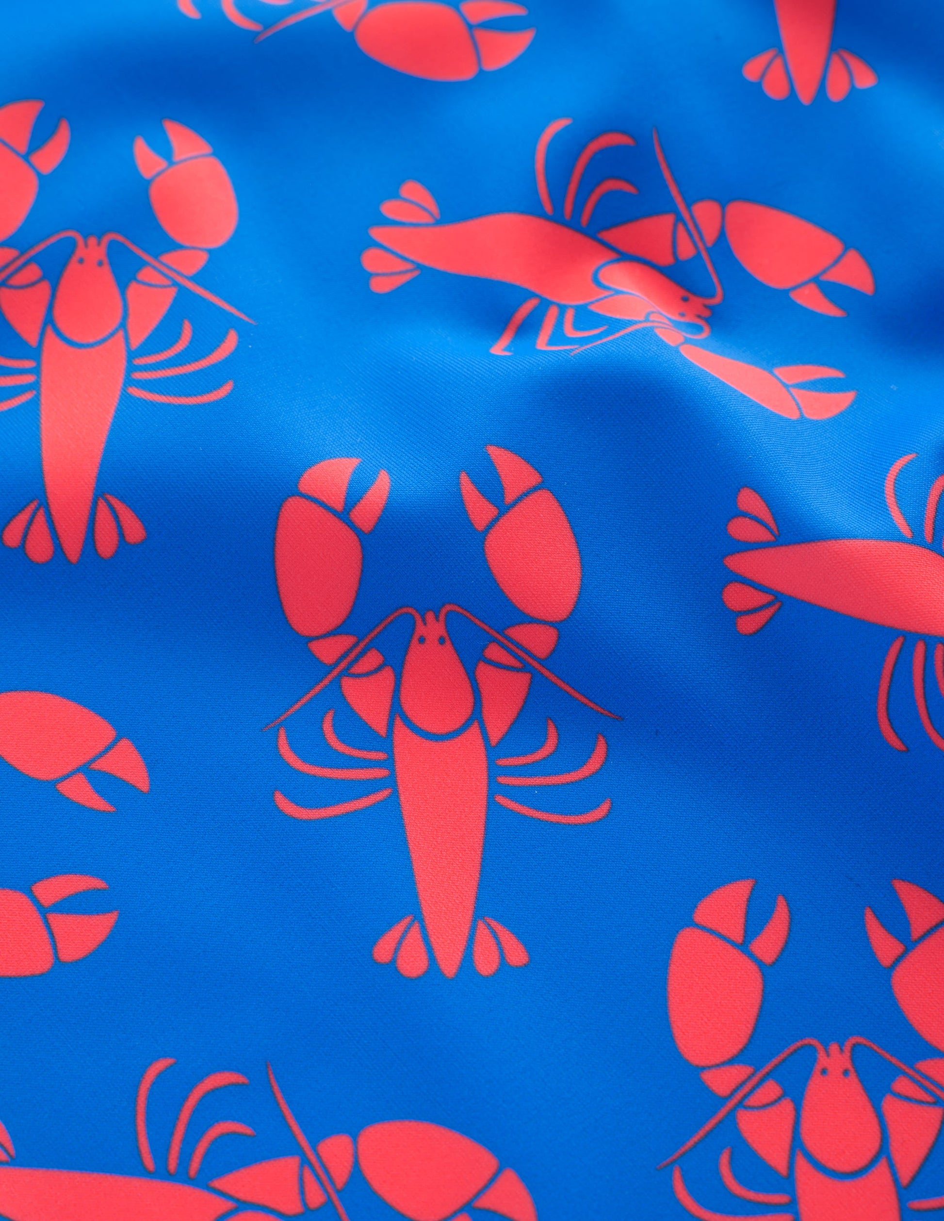 Radlerhose zum Schwimmen-Indigo Bunting, Hummer-6