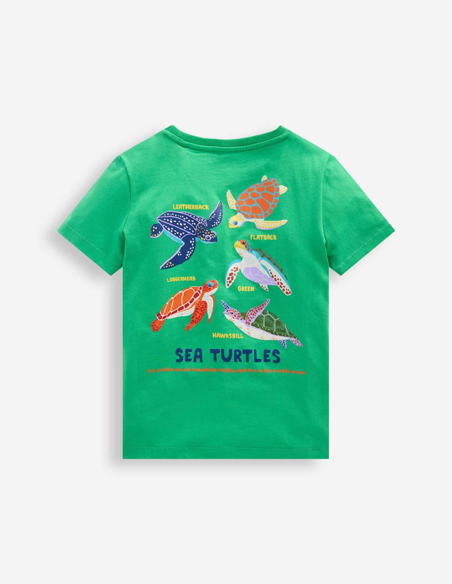 T-shirt à imprimé recto verso-Tortues bleu aigue-marine