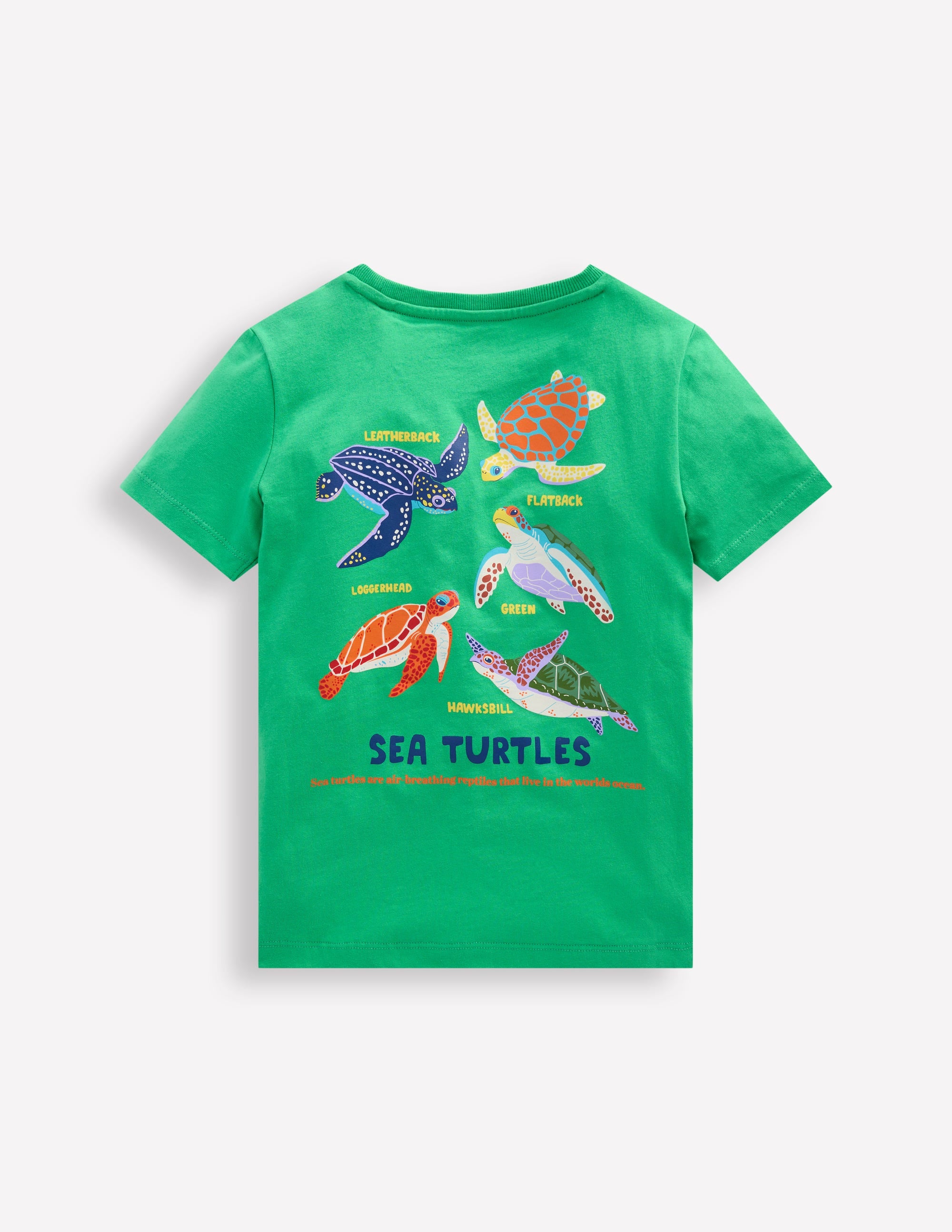 T-Shirt mit Druck auf Vorder- und Rückseite-Aquamarin-Blau Schildkröten - Image 2