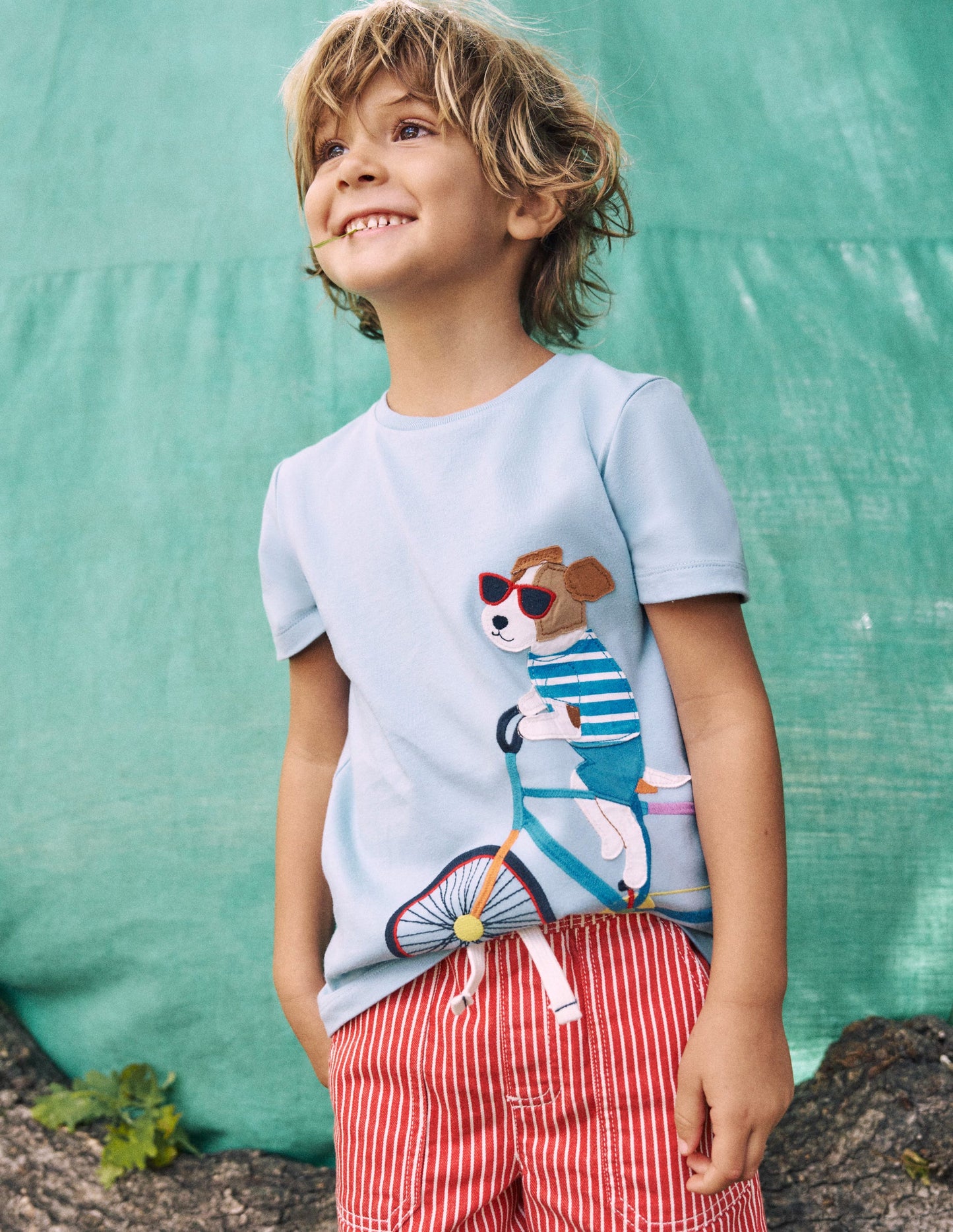 T-shirt graphique fun-Chiens sur un vélo bleu vintage