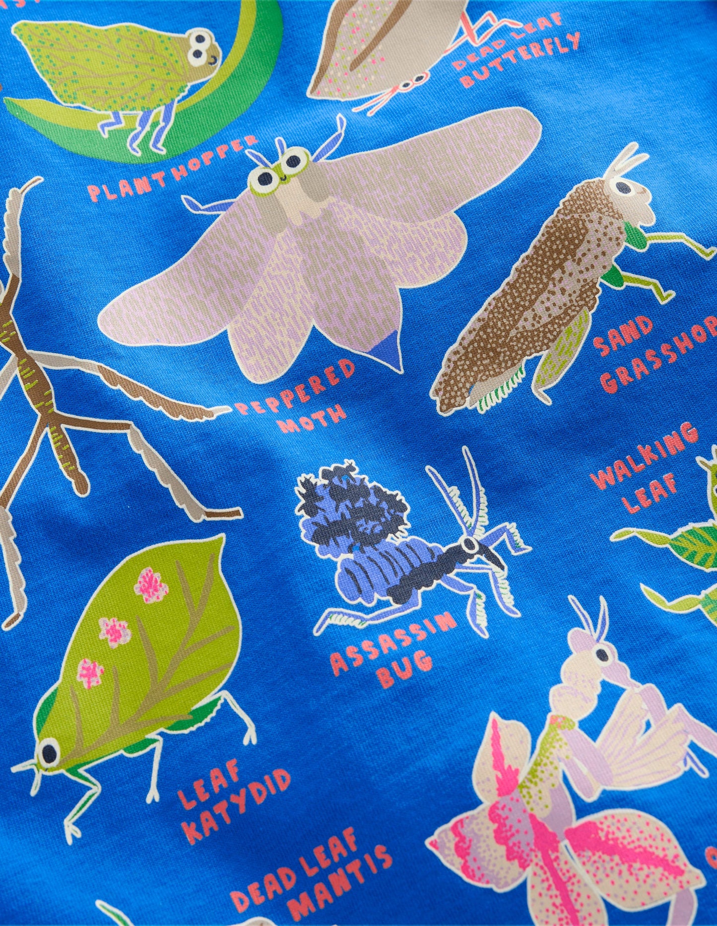 T-shirt phosphorescent à manches courtes-Insectes bleu martin-pêcheur