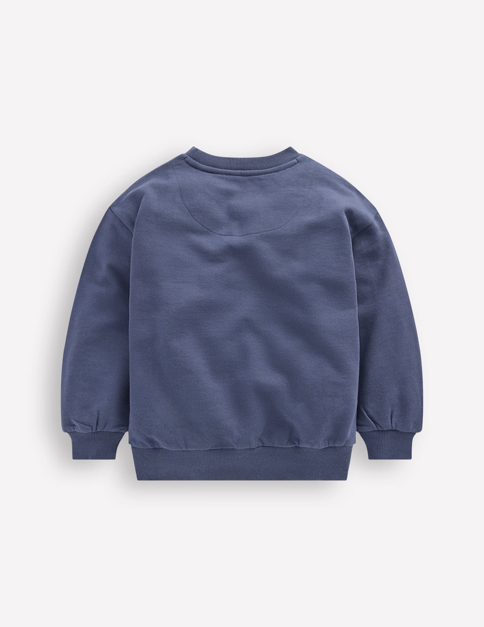 Lustiges Sweatshirt-Skateboards-2