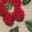 Baskets montantes en toile-Bleu saphir floral