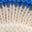 Leonore lustiges Strickoberteil-Blau/Naturweiß Streifen